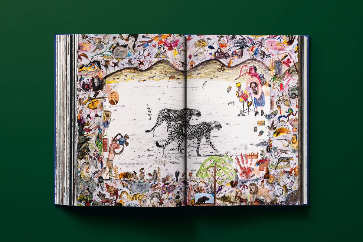 Peter Beard - Imagen 20 de 24