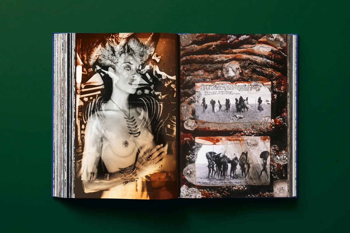Peter Beard - Imagen 21 de 24