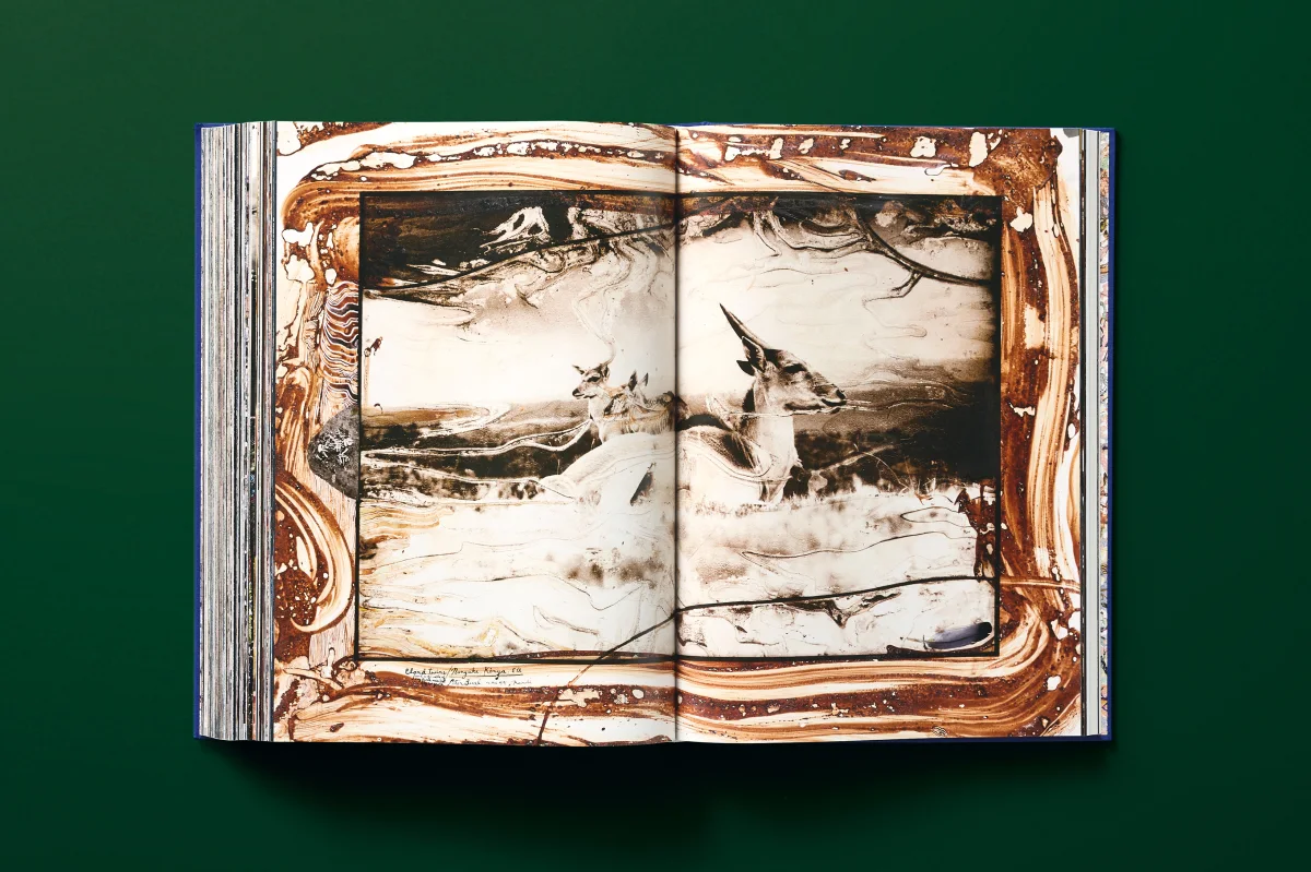 Peter Beard - Imagen 23 de 24