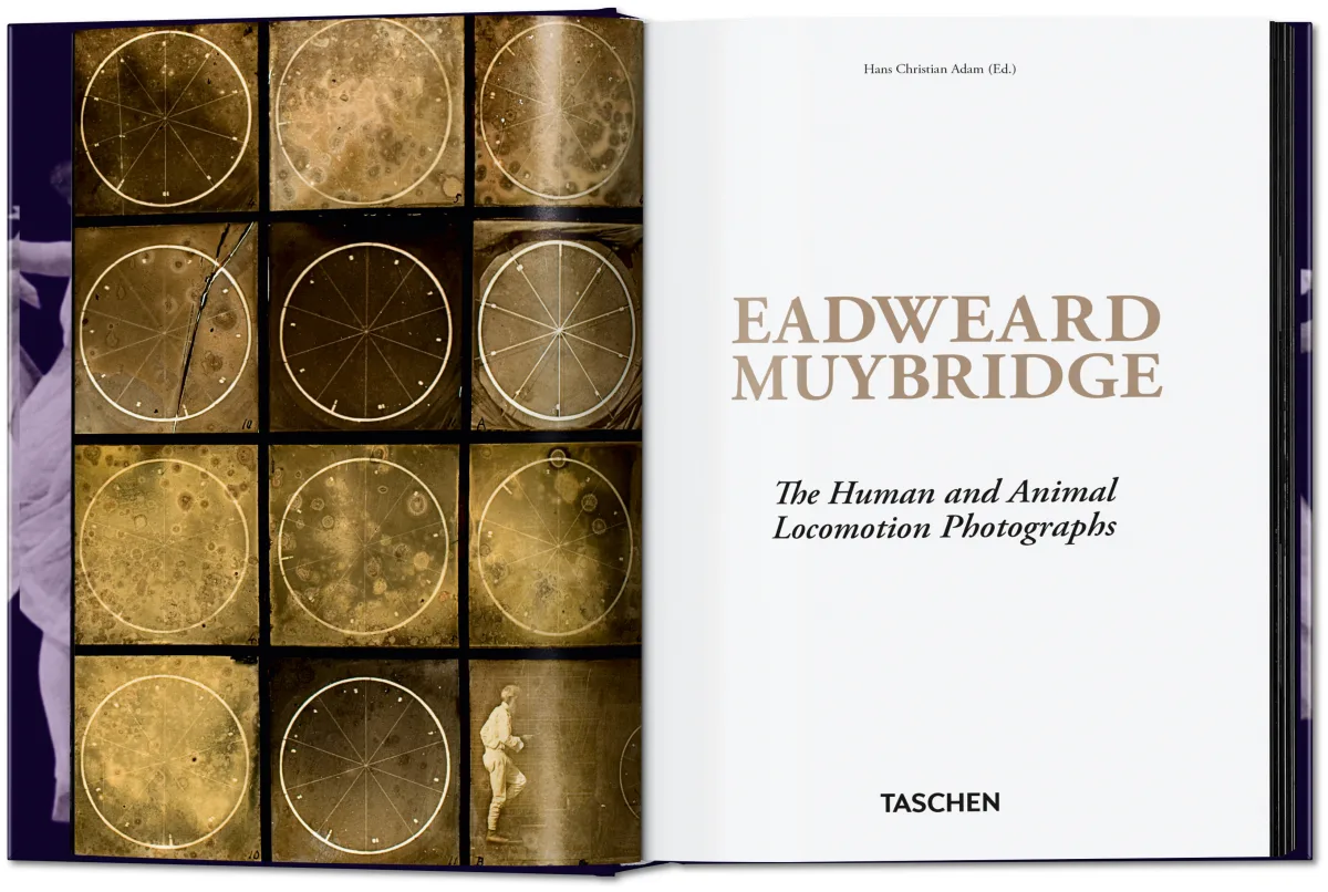Muybridge. The Human and Animal Locomotion Photographs. 45th Ed. - Image 2 of 13