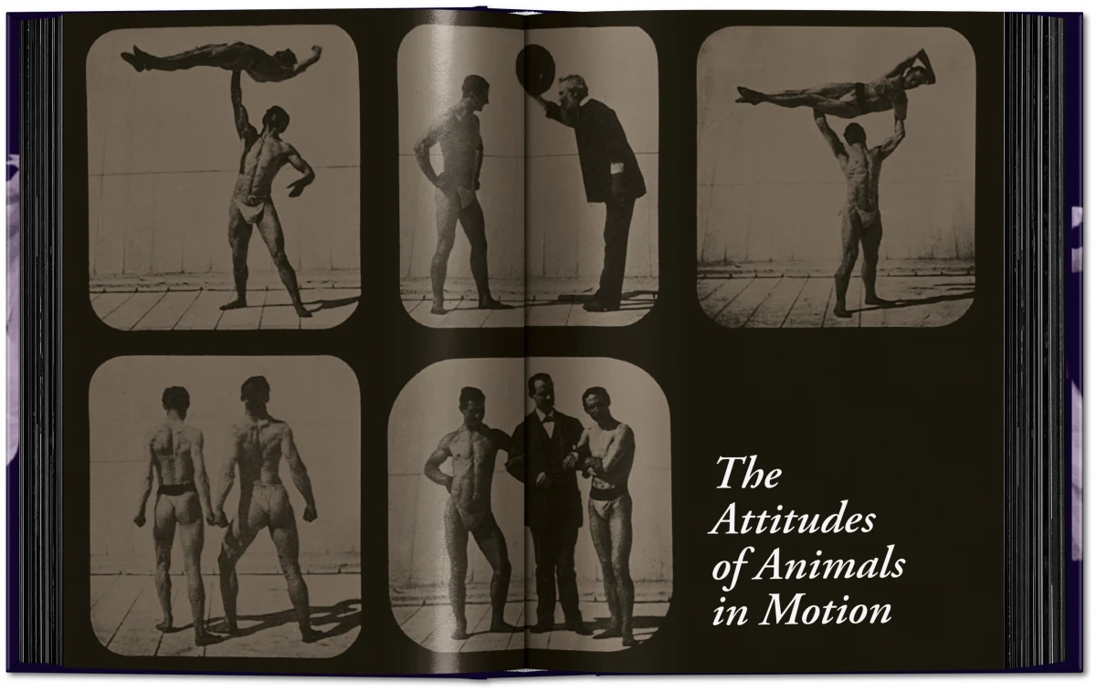 Muybridge. The Human and Animal Locomotion Photographs. 45th Ed. - Image 4 of 13