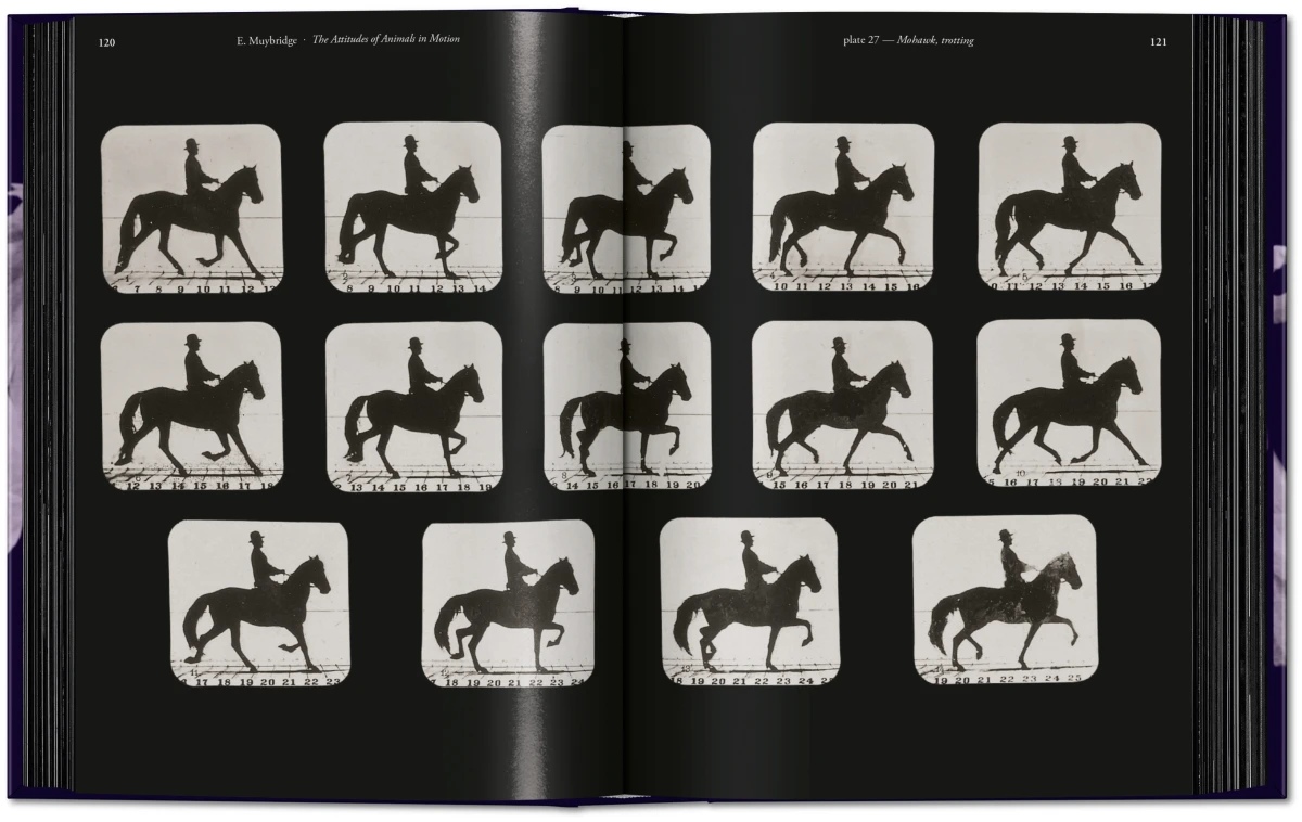 Muybridge. The Human and Animal Locomotion Photographs. 45th Ed. - Image 5 of 13