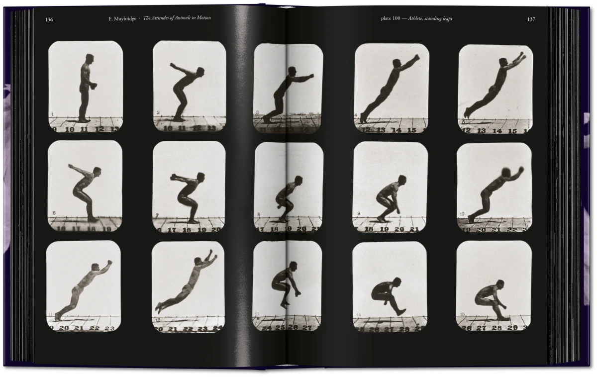 Muybridge. The Human and Animal Locomotion Photographs. 45th Ed. - Image 6 of 13