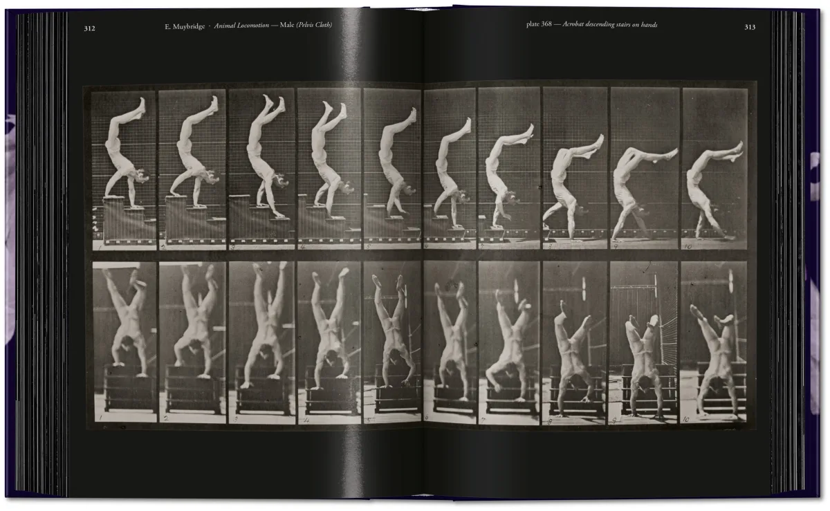 Muybridge. The Human and Animal Locomotion Photographs. 45th Ed. - Image 8 of 13