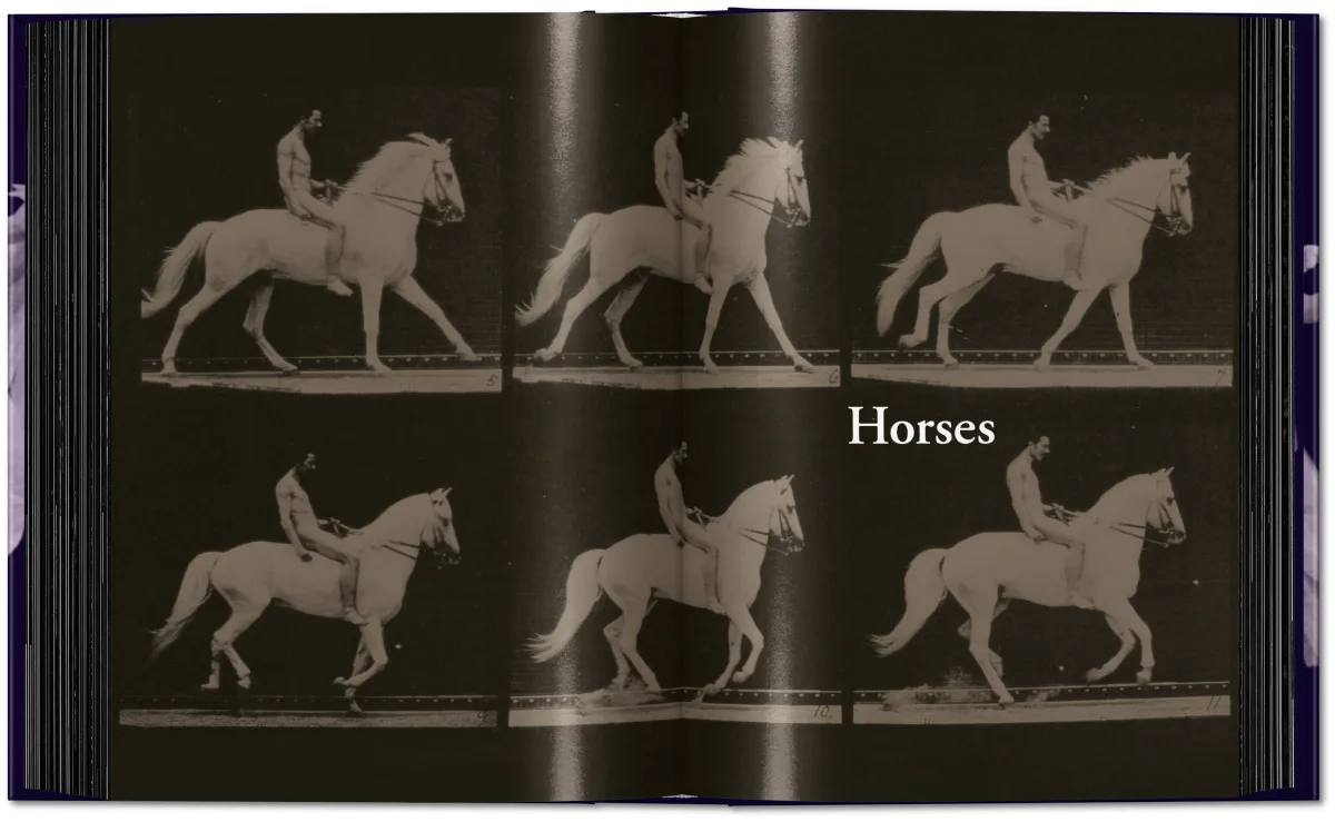 Muybridge. The Human and Animal Locomotion Photographs. 45th Ed. - Image 10 of 13