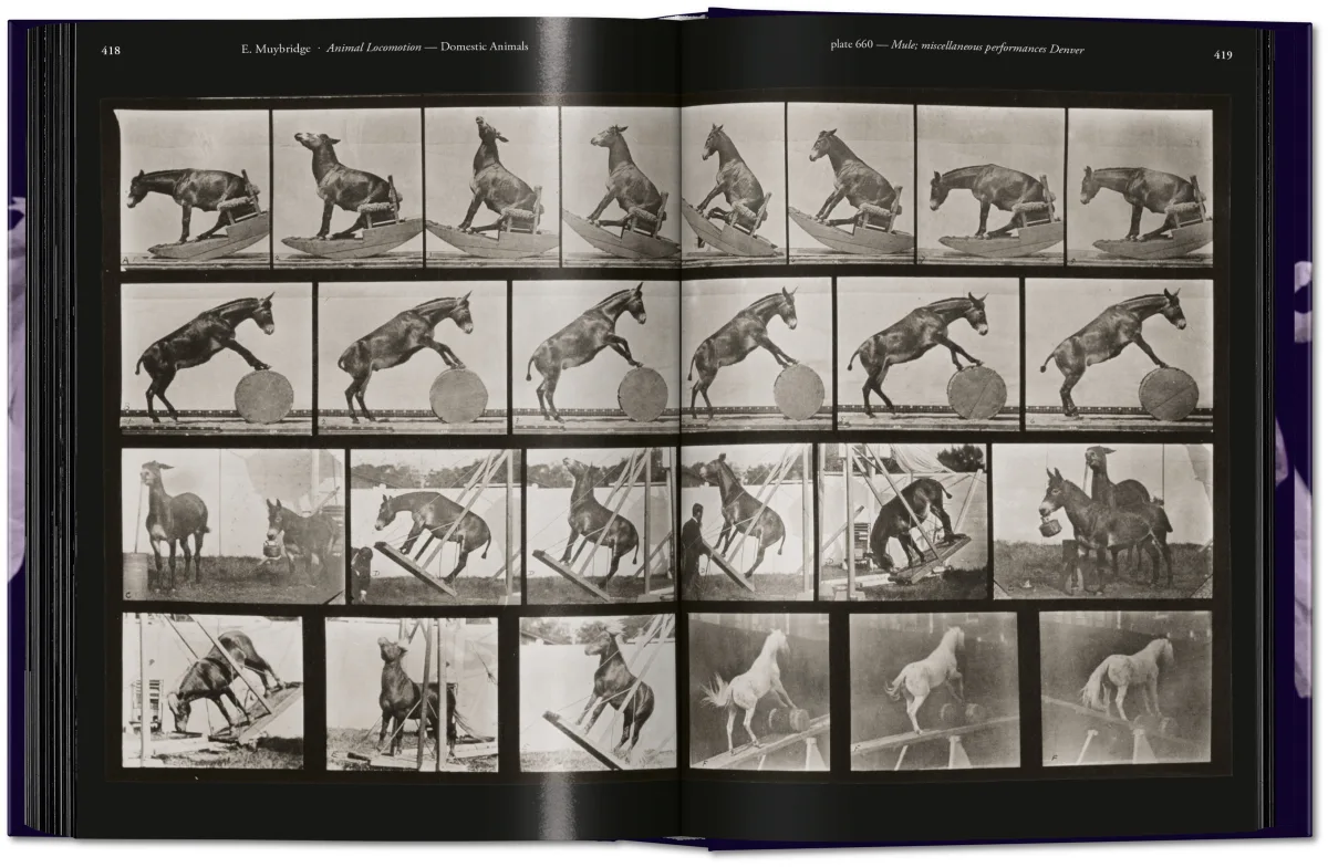 Muybridge. The Human and Animal Locomotion Photographs. 45th Ed. - Image 11 of 13