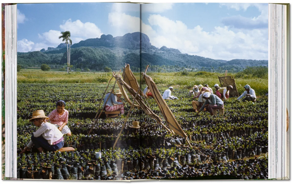 Lee Lockwood. Castro's Cuba. 1959–1969. 45th Ed. - Imagen 8 de 13