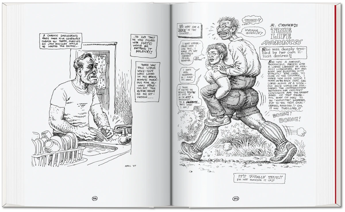 Robert Crumb. Sketchbook Vol. 4. 1982–1989 - Bild 11 von 13