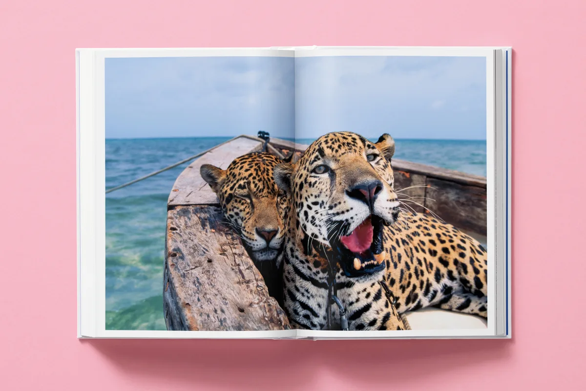 National Geographic. Around the World in 125 Years - Bild 16 von 48