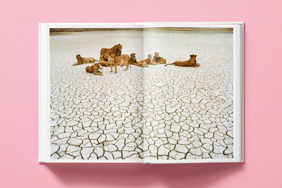 National Geographic. Around the World in 125 Years - Bild 32 von 48
