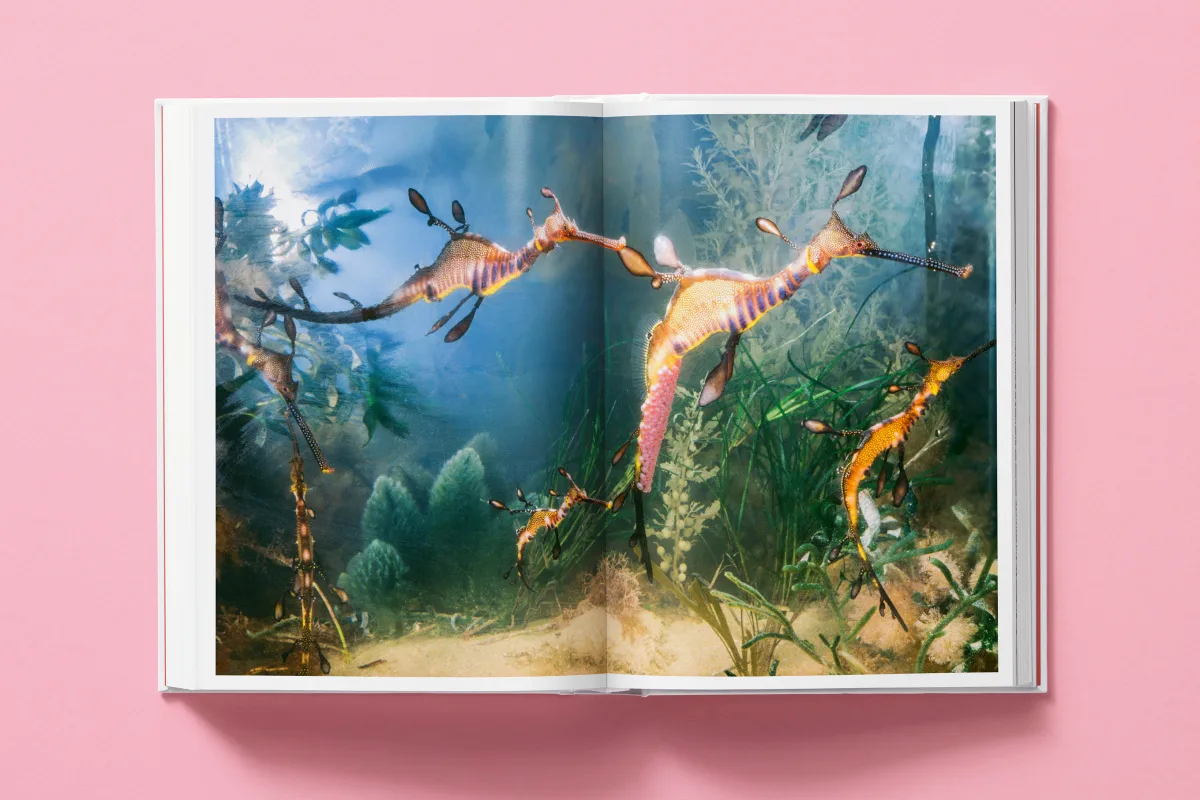 National Geographic. Around the World in 125 Years - Bild 46 von 48
