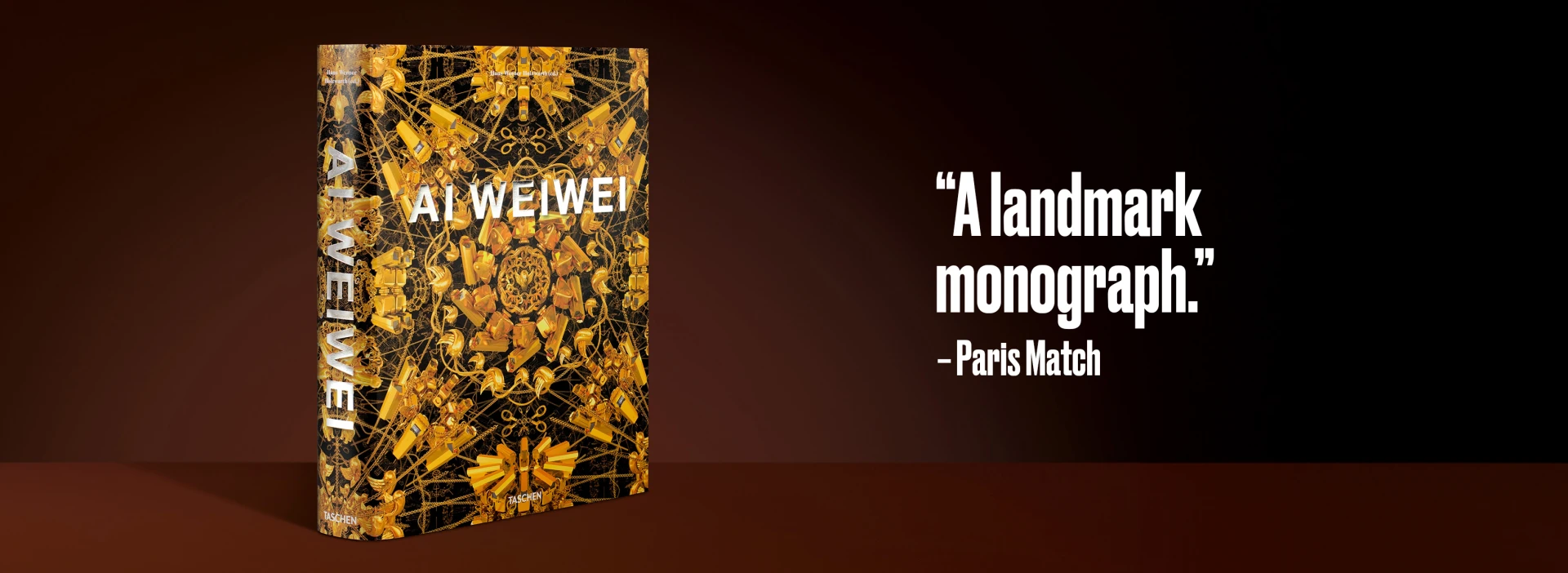 Ai Weiwei. Updated Edition