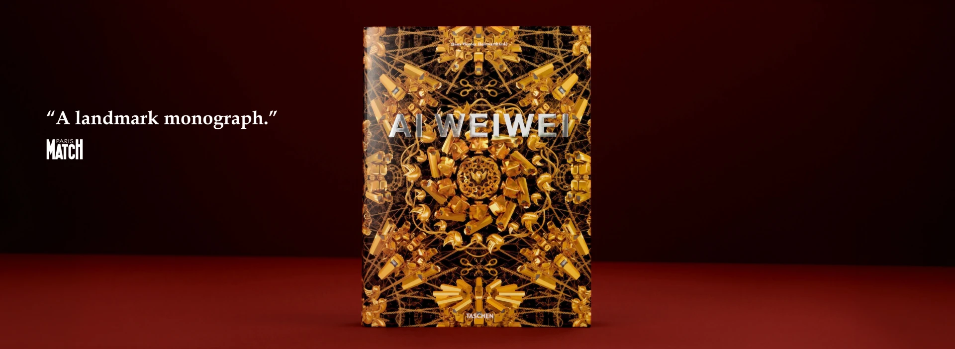 Ai Weiwei. Updated Edition