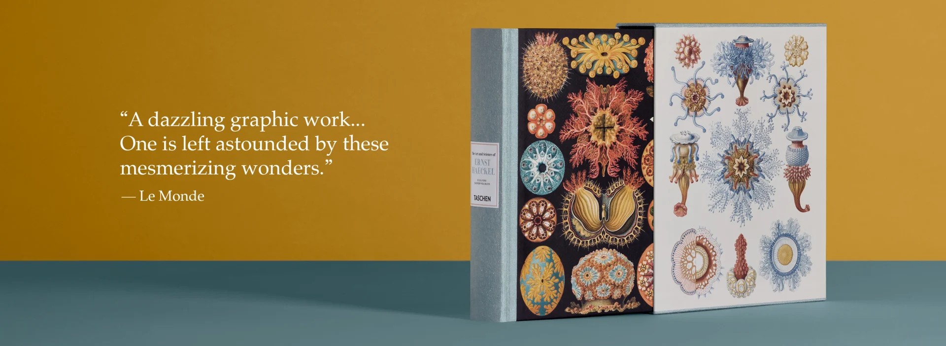 The Art and Science of Ernst Haeckel