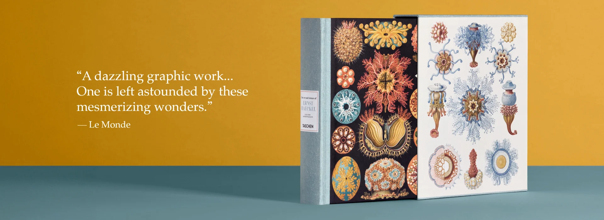The Art and Science of Ernst Haeckel
