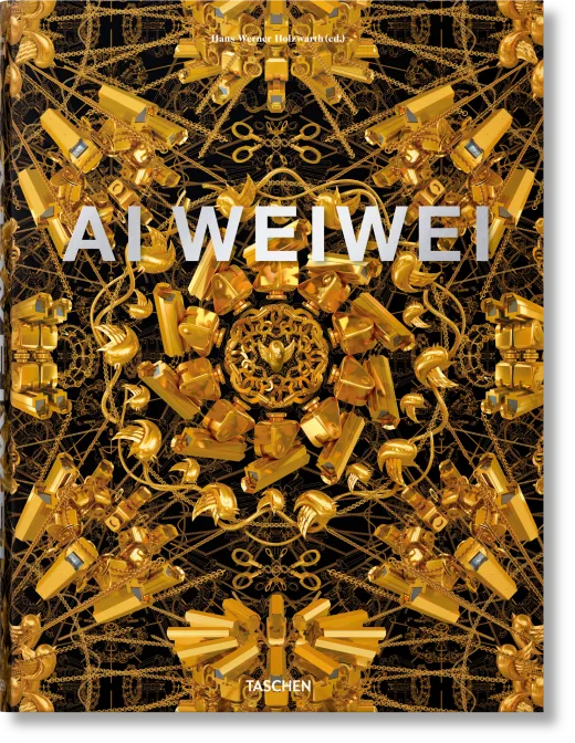 Ai Weiwei. Updated Edition