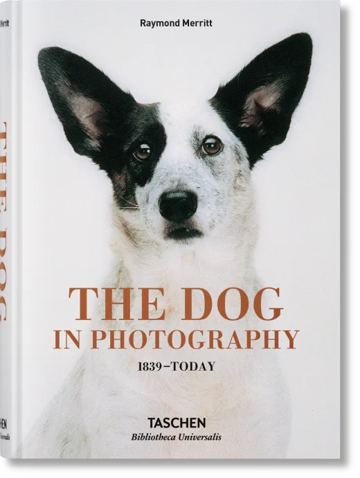 The Dog in Photography 1839–Today