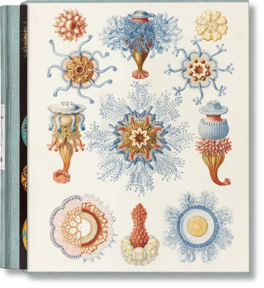 The Art and Science of Ernst Haeckel