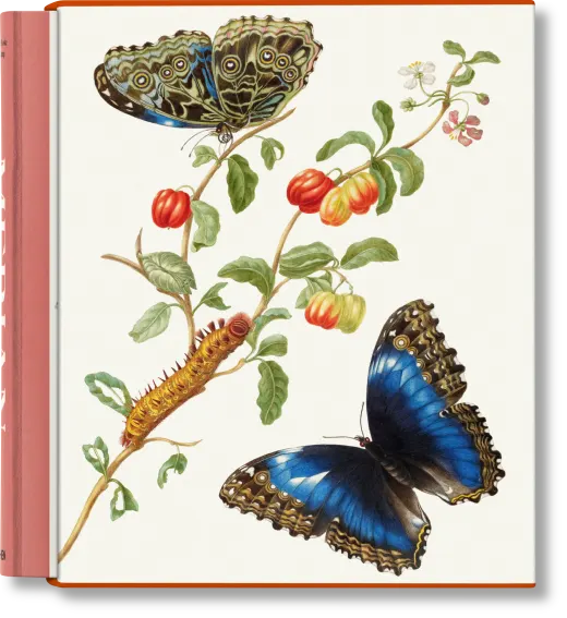 Merian