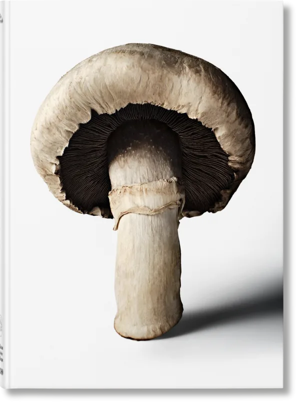 The Gourmand's Mushroom. A Collection of Stories & Recipes