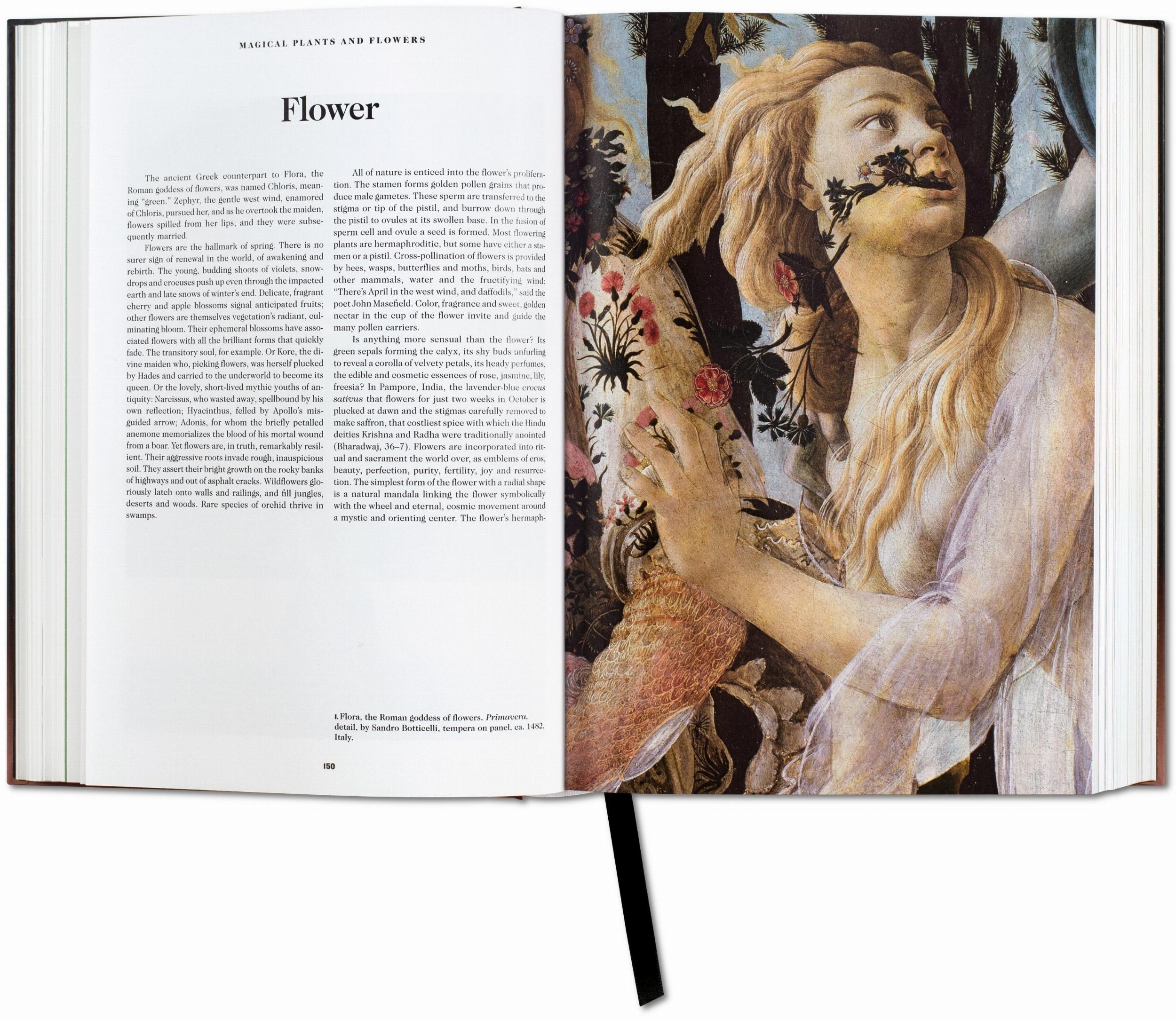Libro de los Simbolos (Es)-5