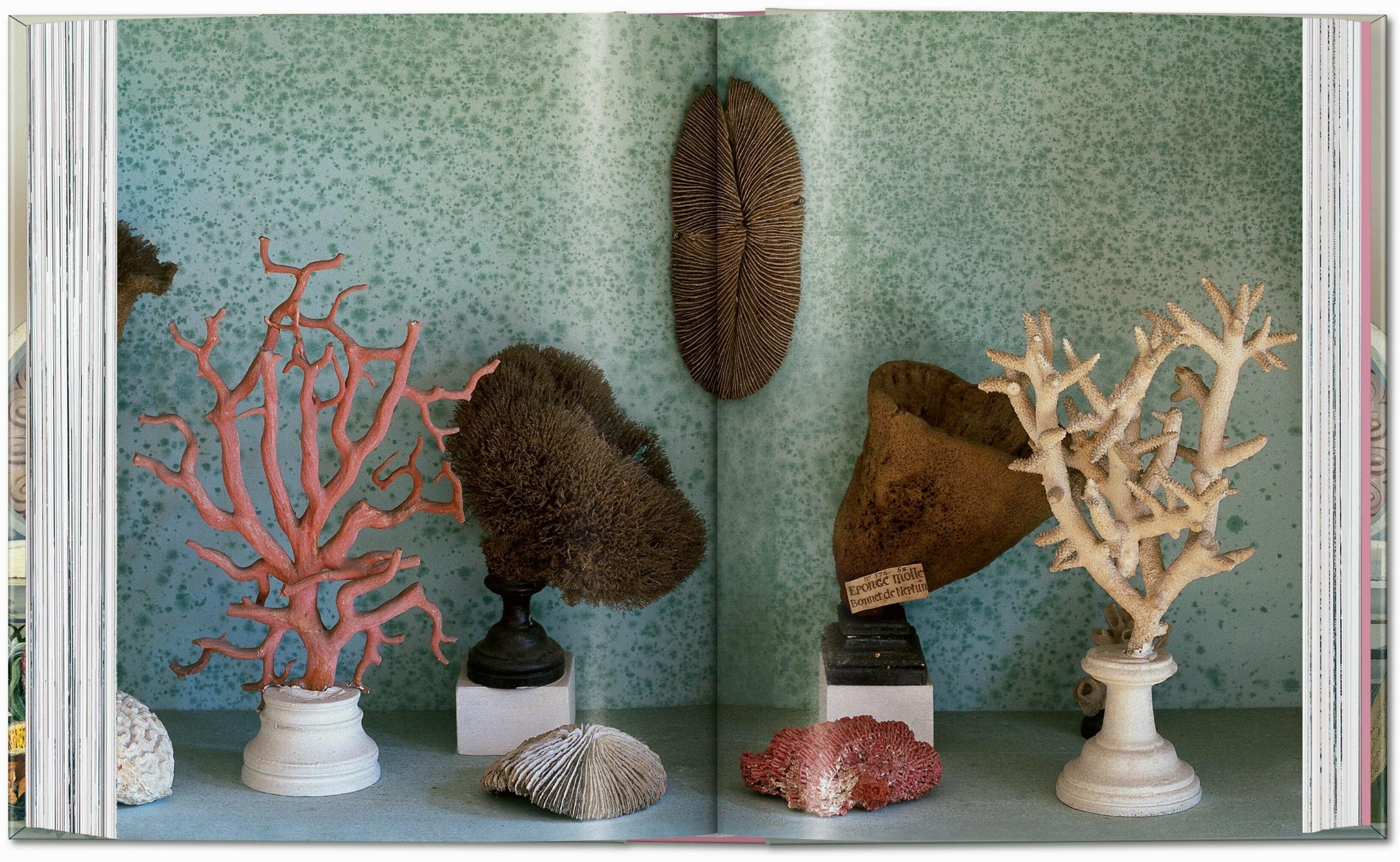 Massimo Listri. Cabinet Of Curiosities. 40Th Ed.-5