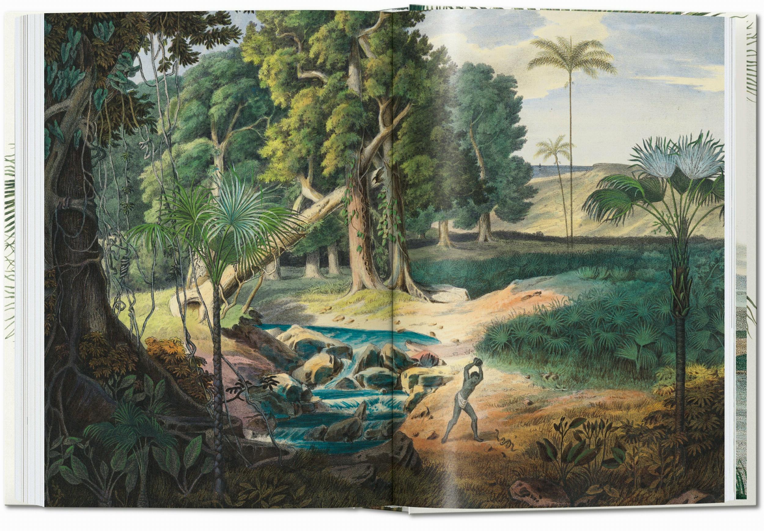 Martius. El Libro de las Palmeras. 40Th Ed.-7