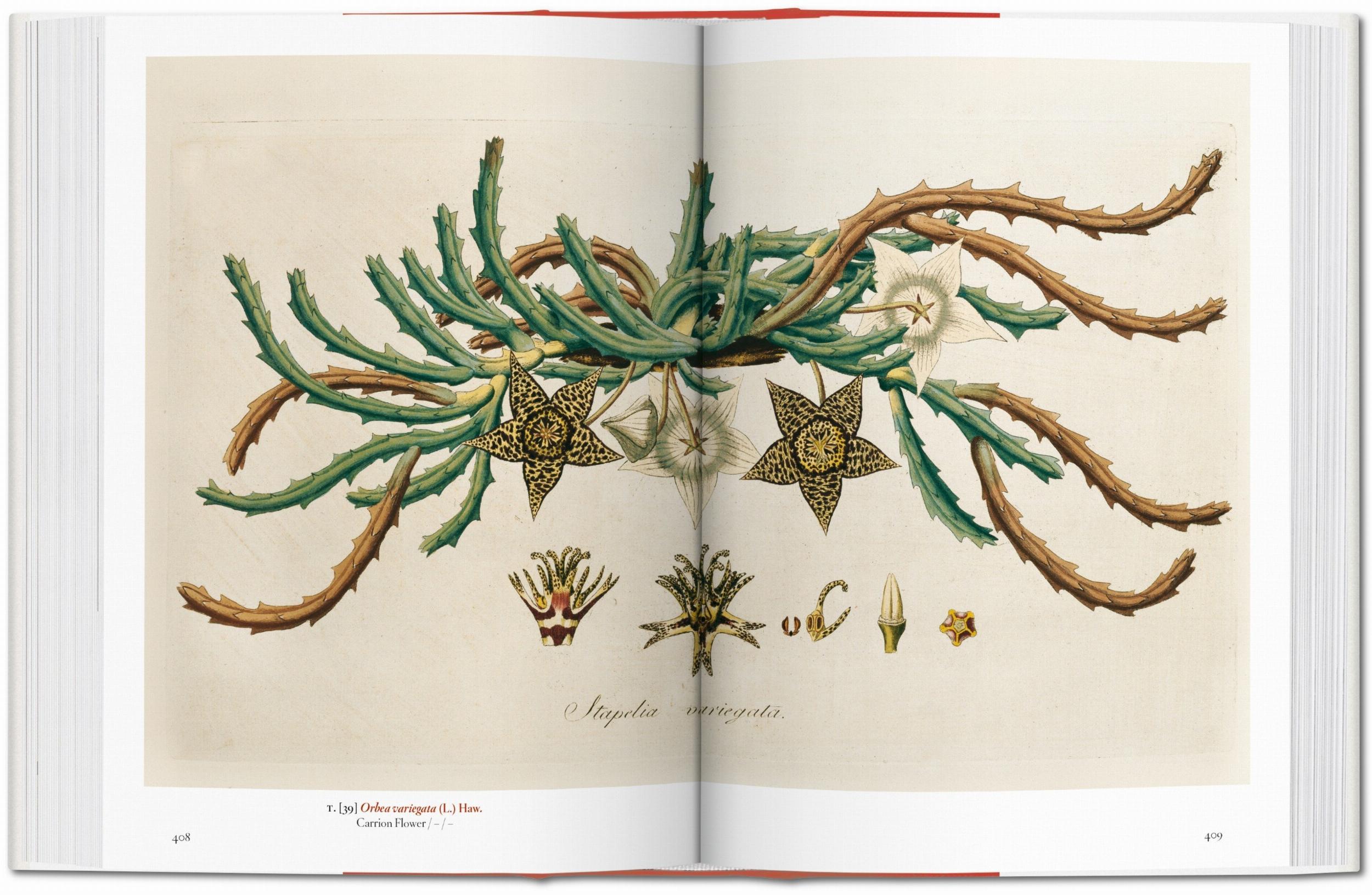 A Garden Eden. Masterpieces Of Botanical Illustration. 40Th Ed.-5
