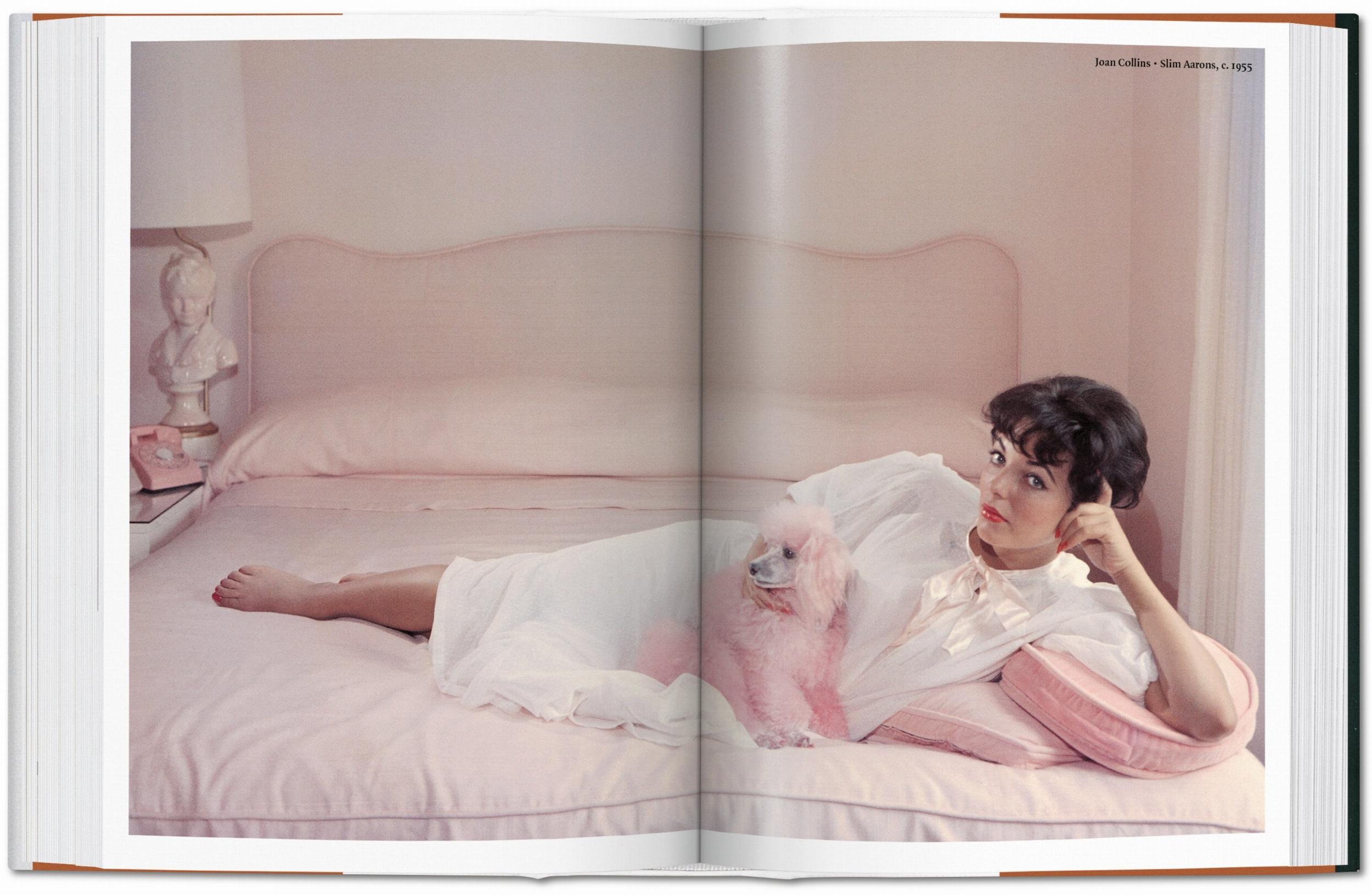 The Dog In Photography 1839–Today-6