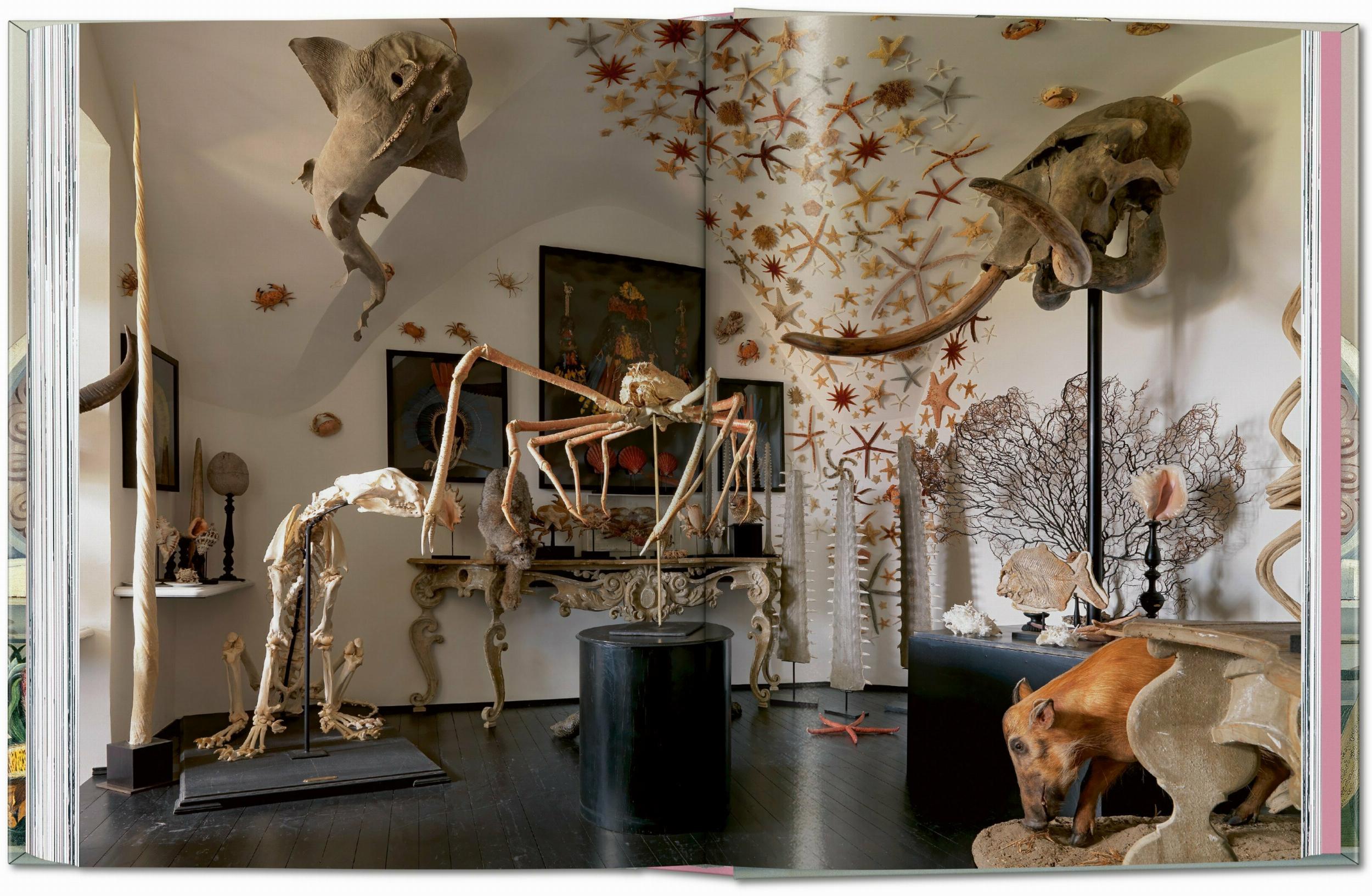 Massimo Listri. Cabinet Of Curiosities. 40Th Ed.-8