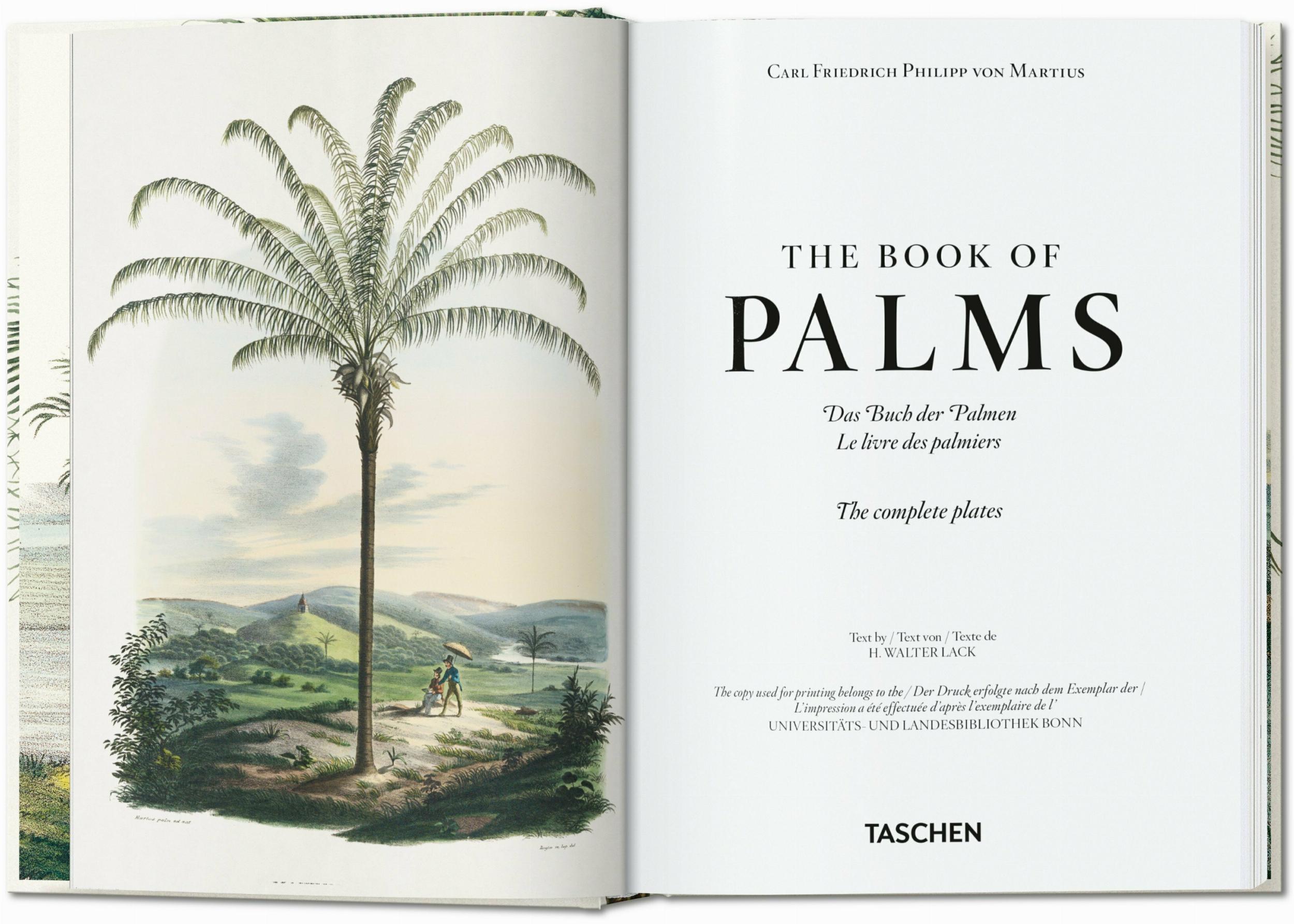 Martius. El Libro de las Palmeras. 40Th Ed.-1