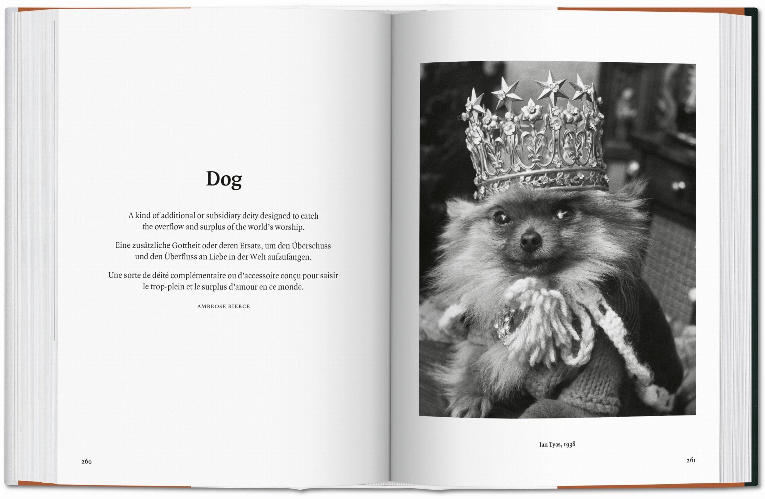 The Dog In Photography 1839–Today-4