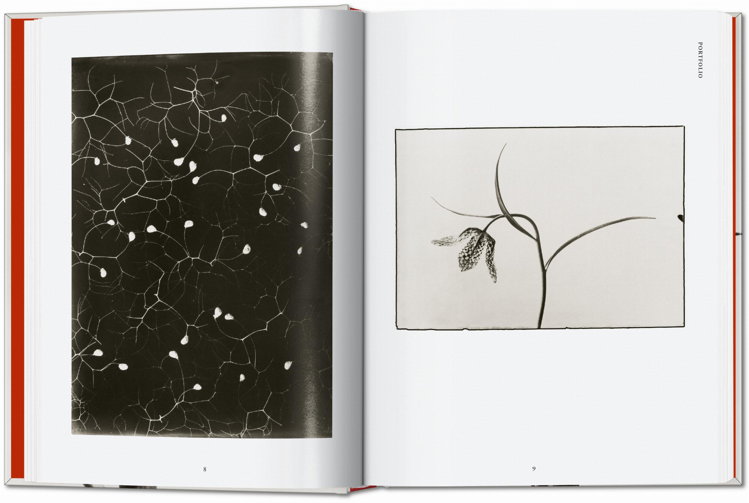 Karl Blossfeldt. The Complete Published Work. 40Th Ed.-2