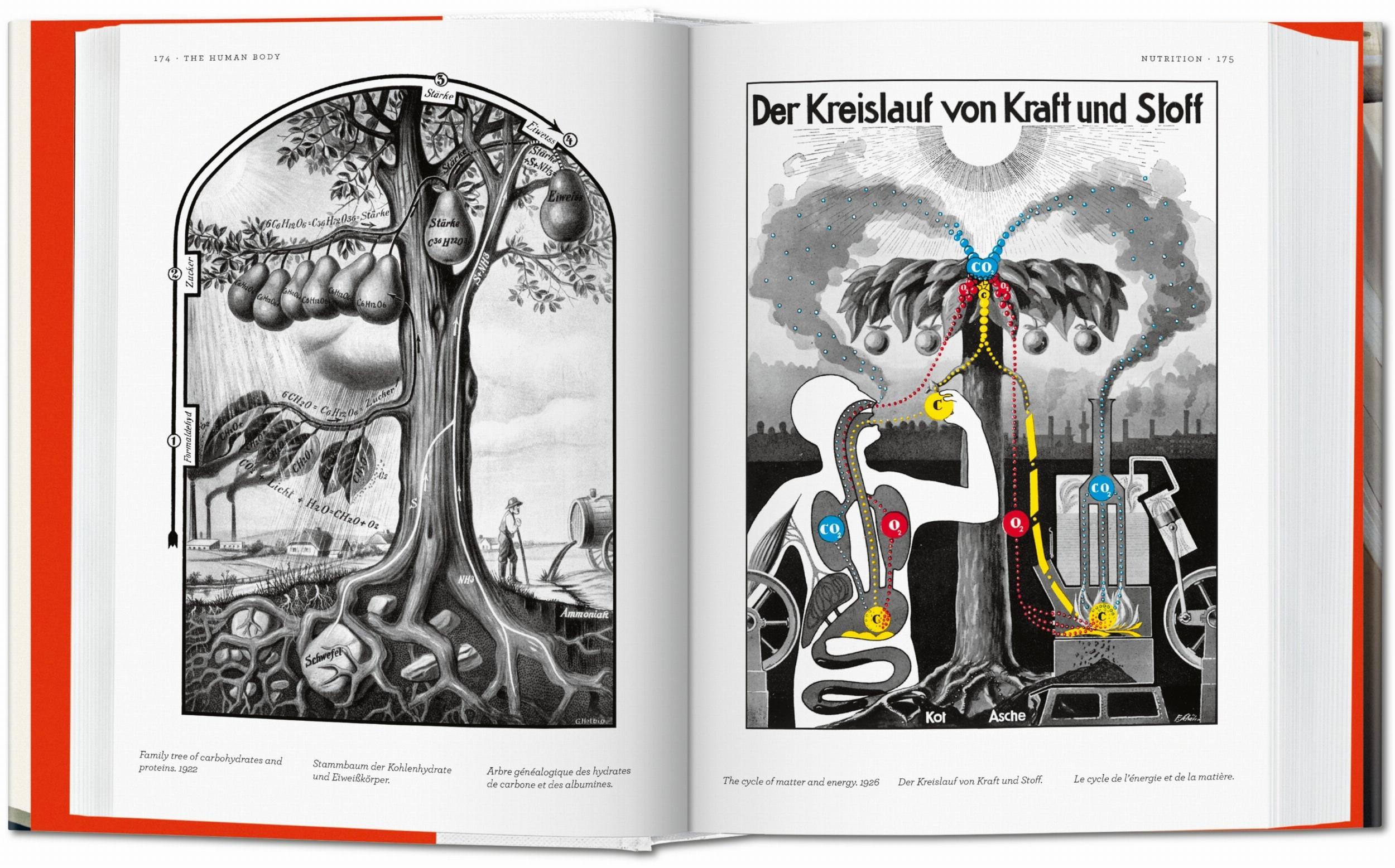 Fritz Kahn. Infographics Pioneer-3