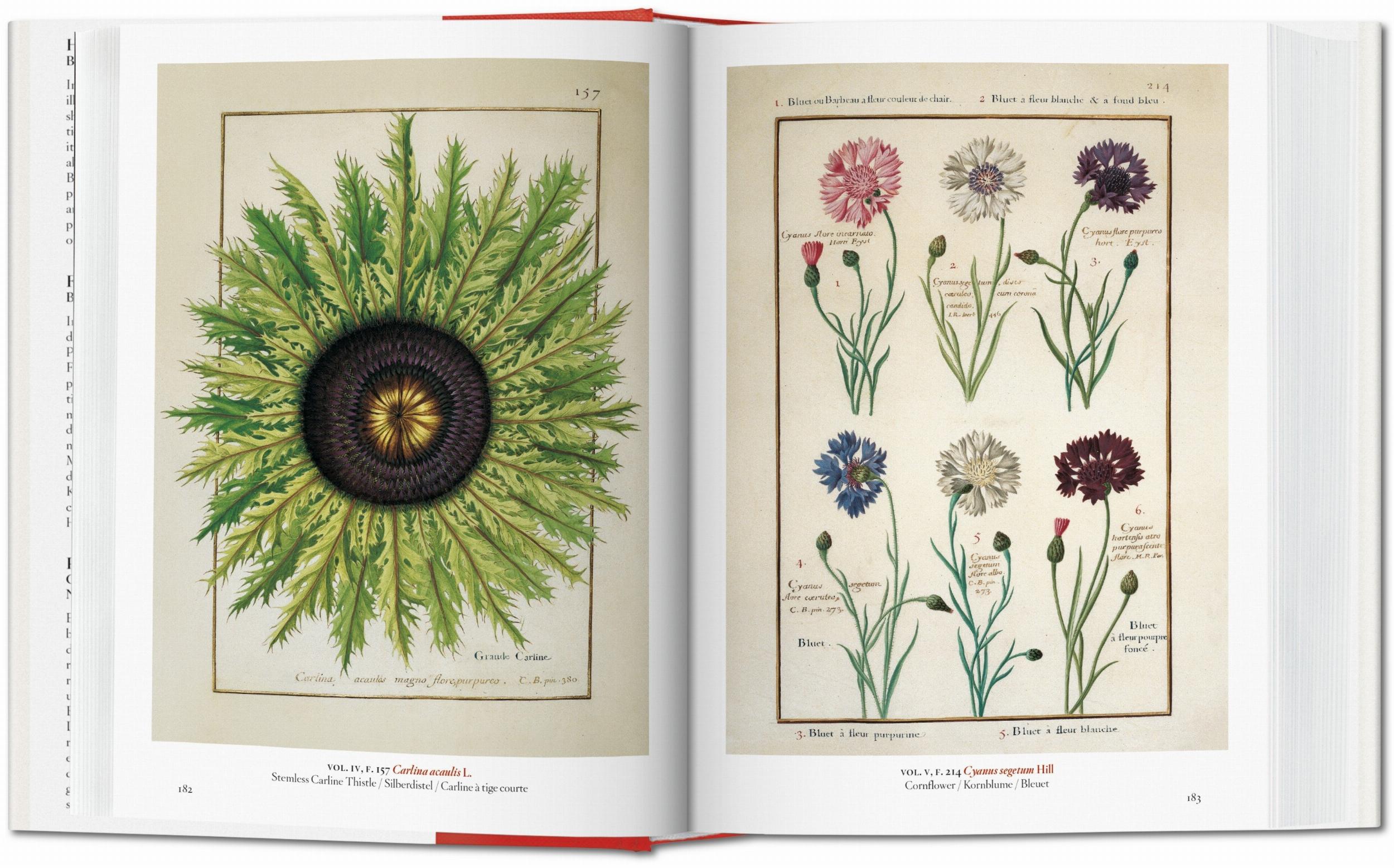 A Garden Eden. Masterpieces Of Botanical Illustration. 40Th Ed.-3