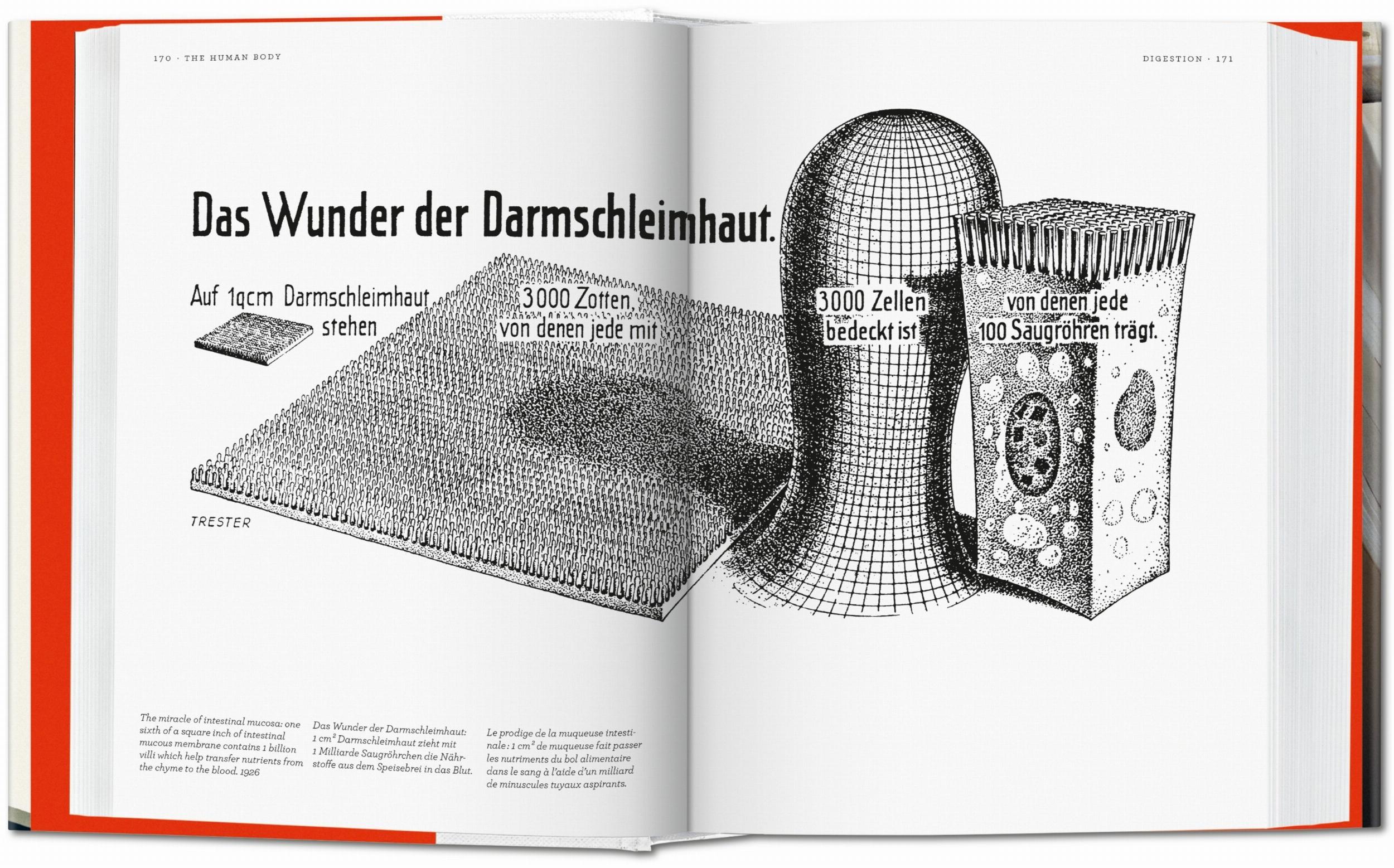 Fritz Kahn. Infographics Pioneer-2