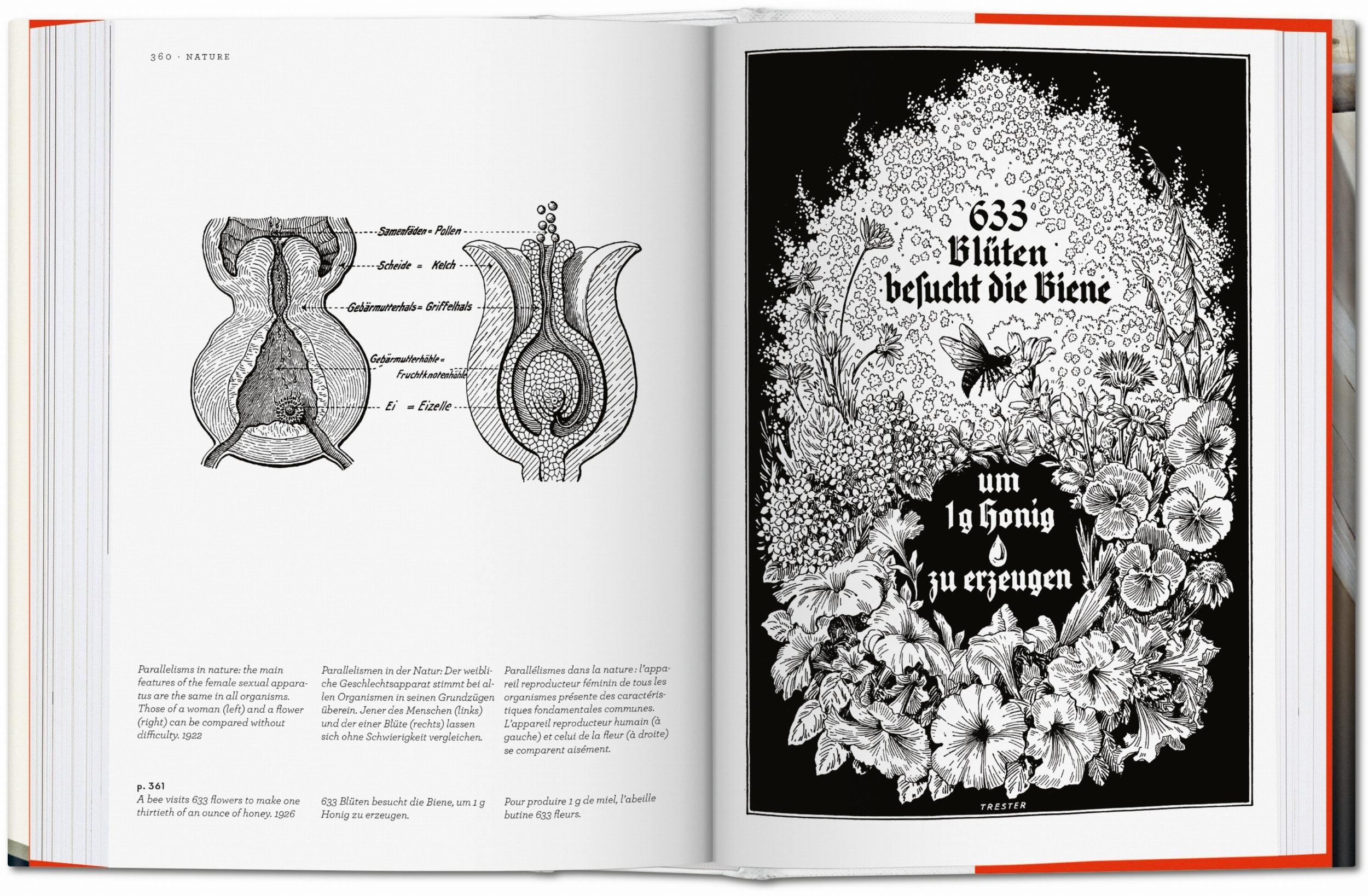Fritz Kahn. Infographics Pioneer-6
