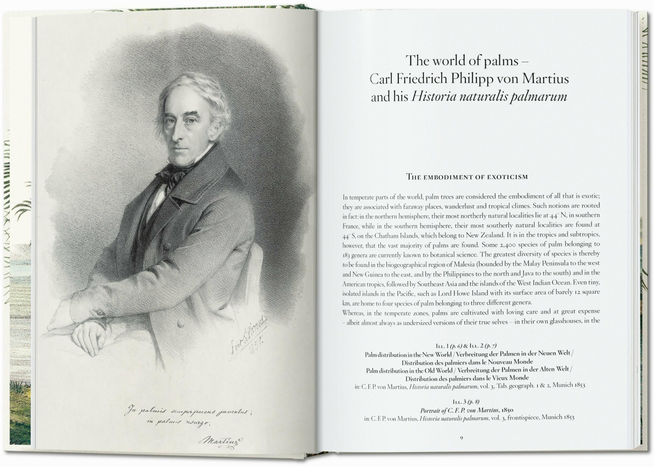 Martius. El Libro de las Palmeras. 40Th Ed.-2