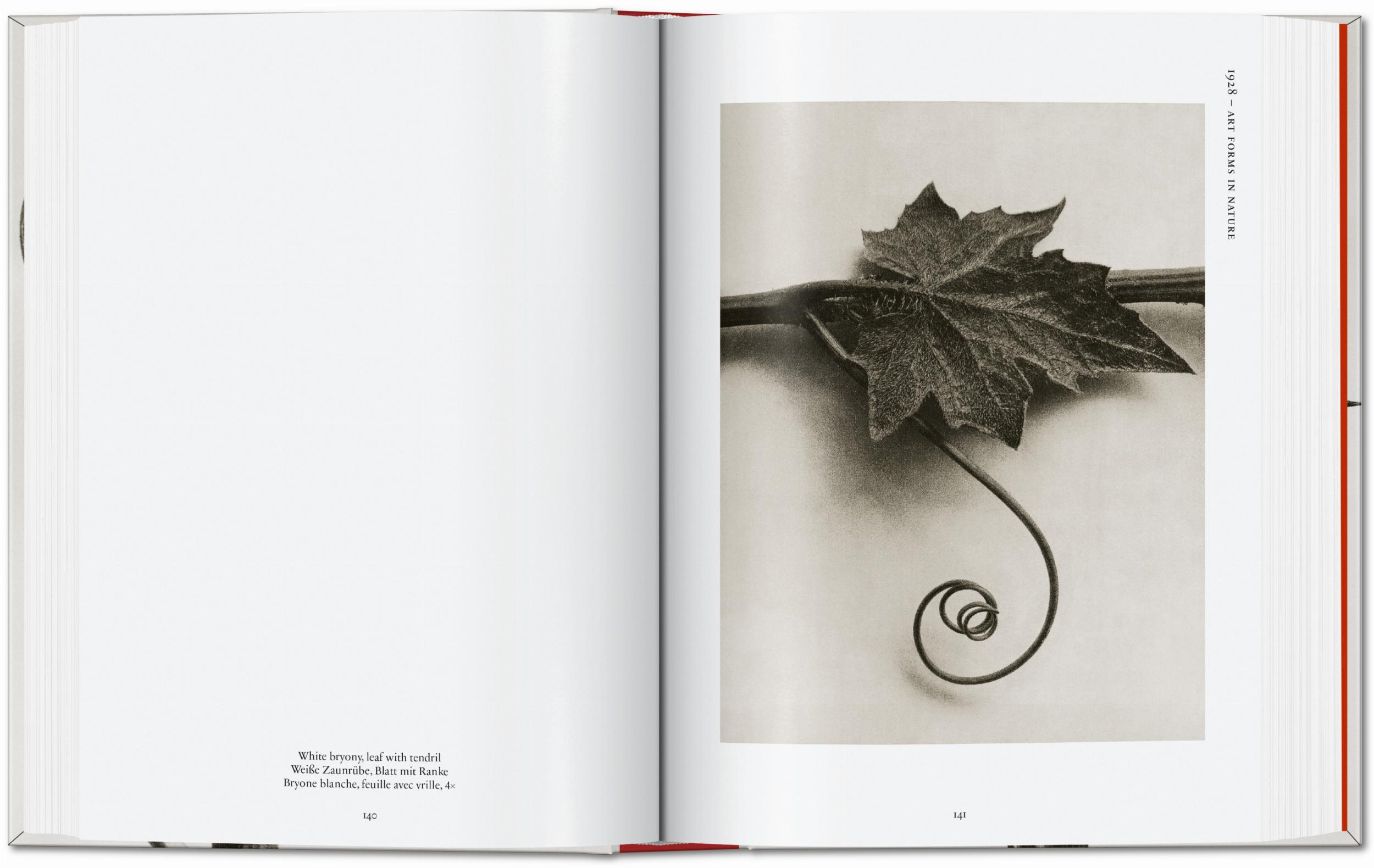 Karl Blossfeldt. The Complete Published Work. 40Th Ed.-5