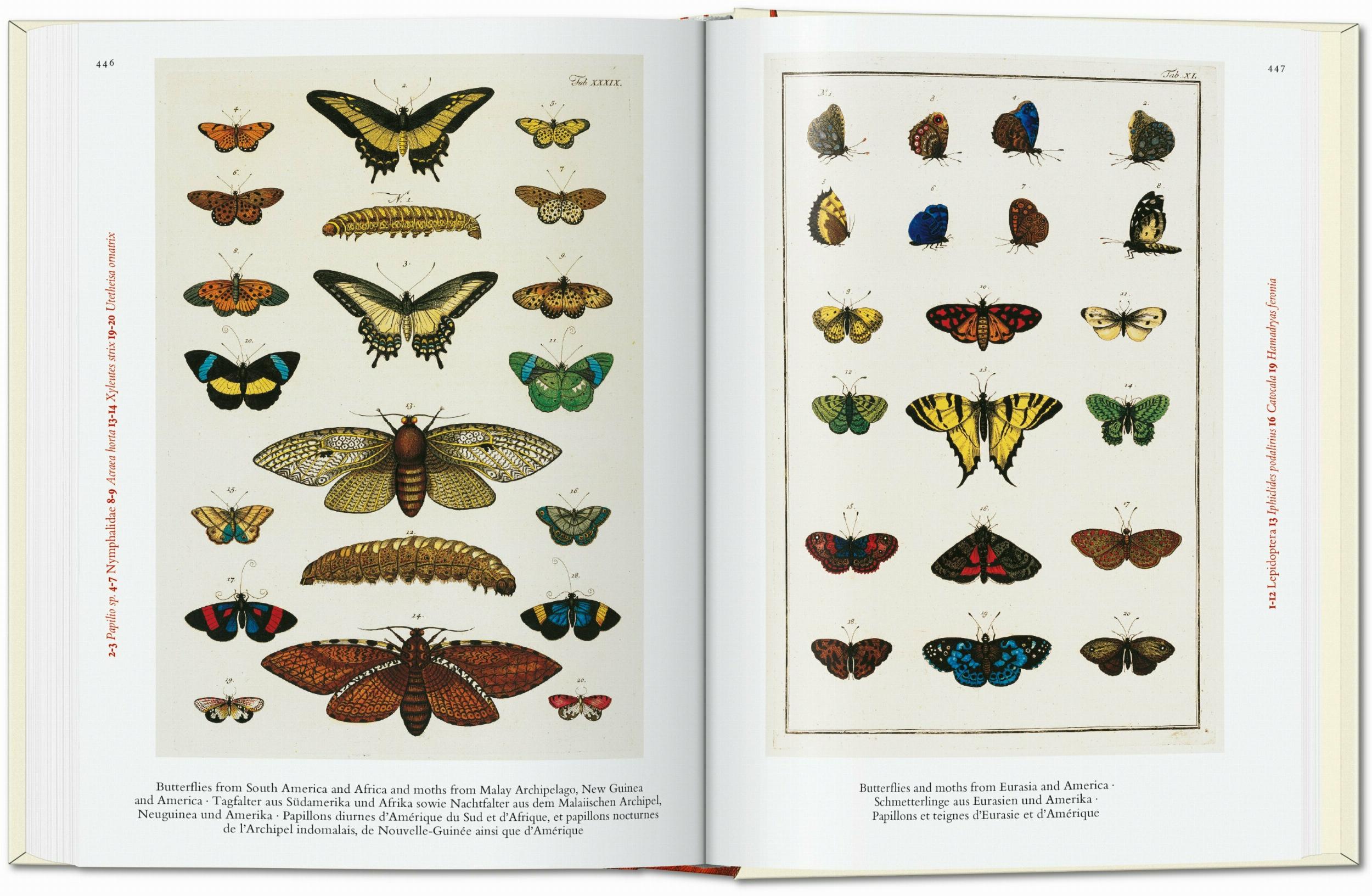 Seba. Cabinet Of Natural Curiosities. 40Th Ed.-6