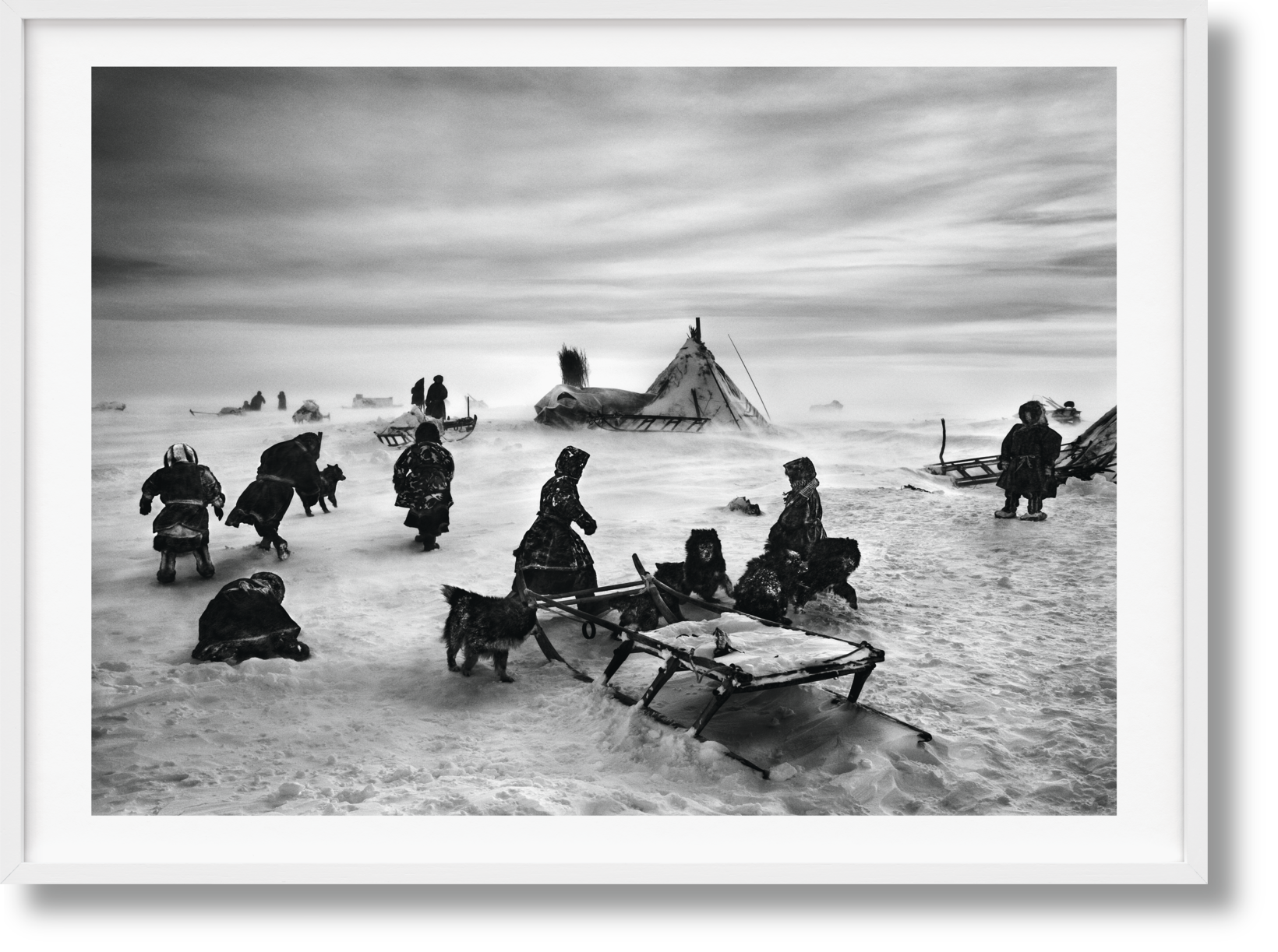 TASCHEN Books: Sebastião Salgado. GENESIS, Art Edition No. 101–200 ‘North  of the Ob River, Yamal Peninsula, Siberia, Russia’