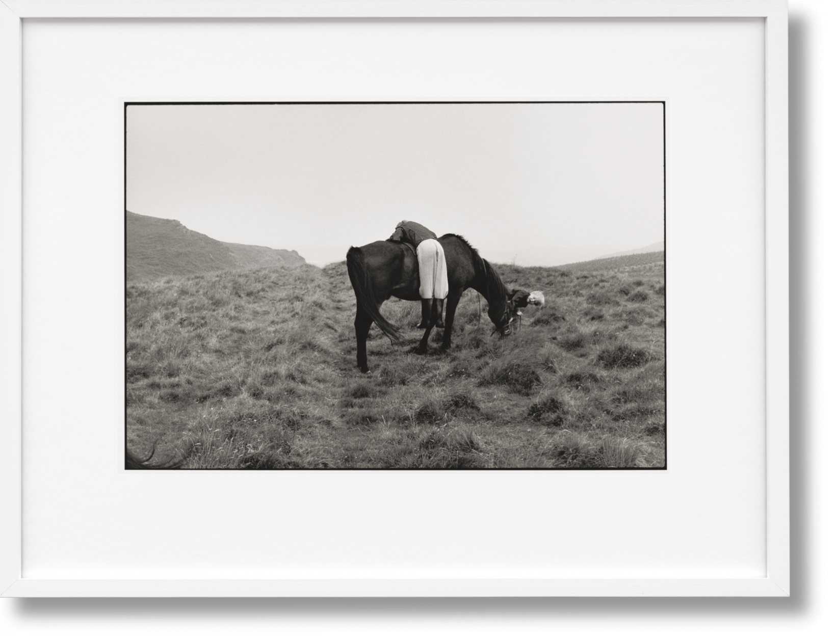 TASCHEN Books: Linda McCartney. Life in Photographs, Art Edition No. 1–125  ‘Horse’