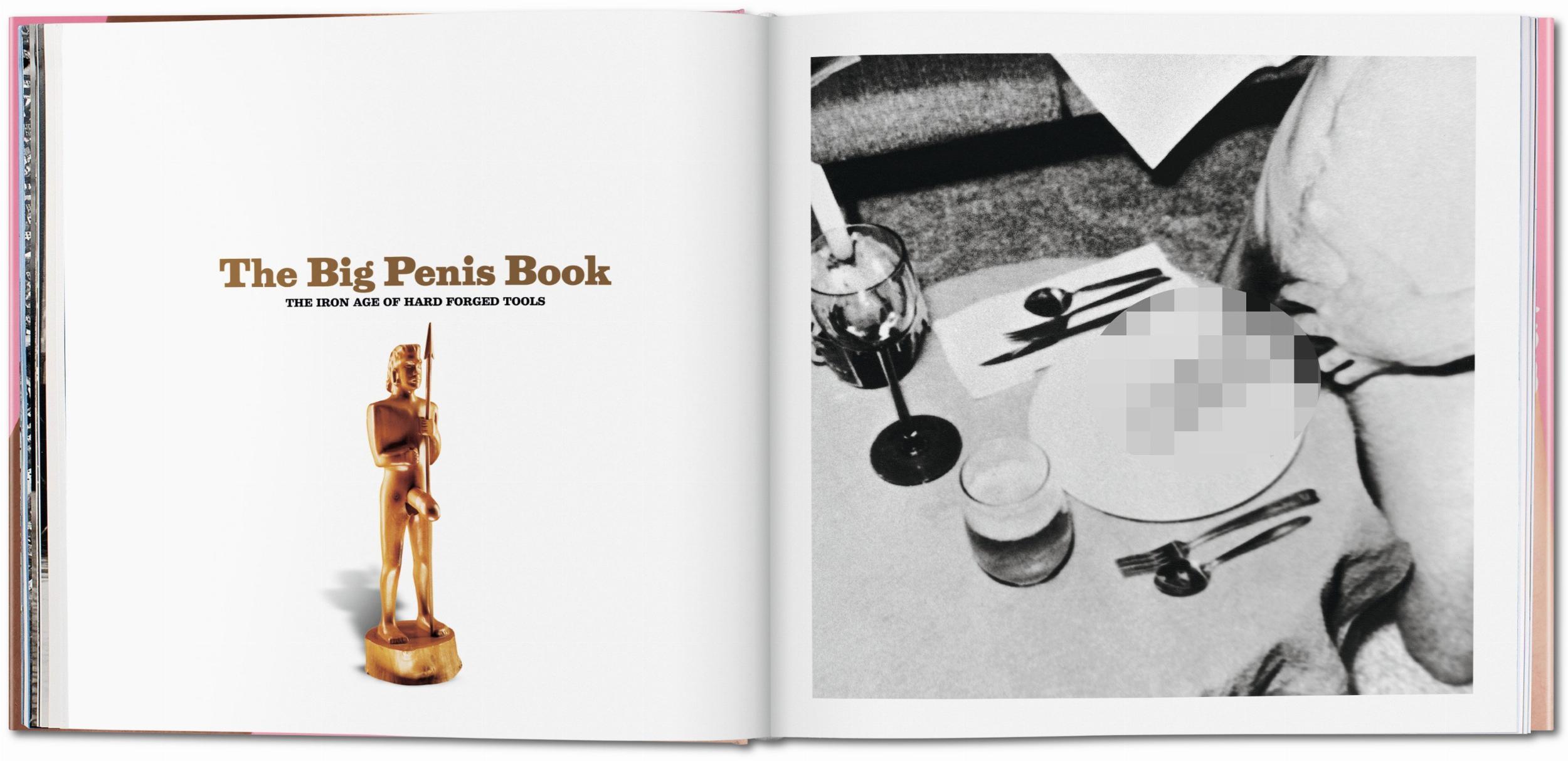 The Big Penis Book - Image 3 de 7