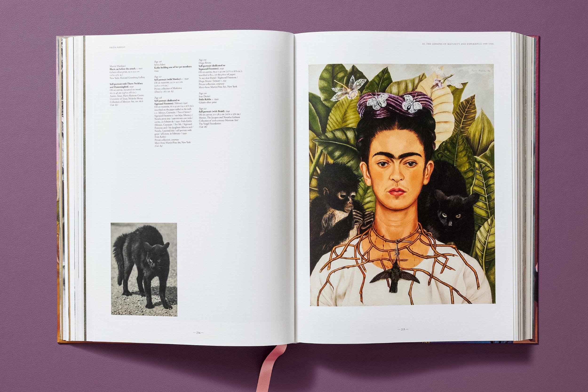 Frida Kahlo. Tout l'œuvre peint - Image 14 de 25