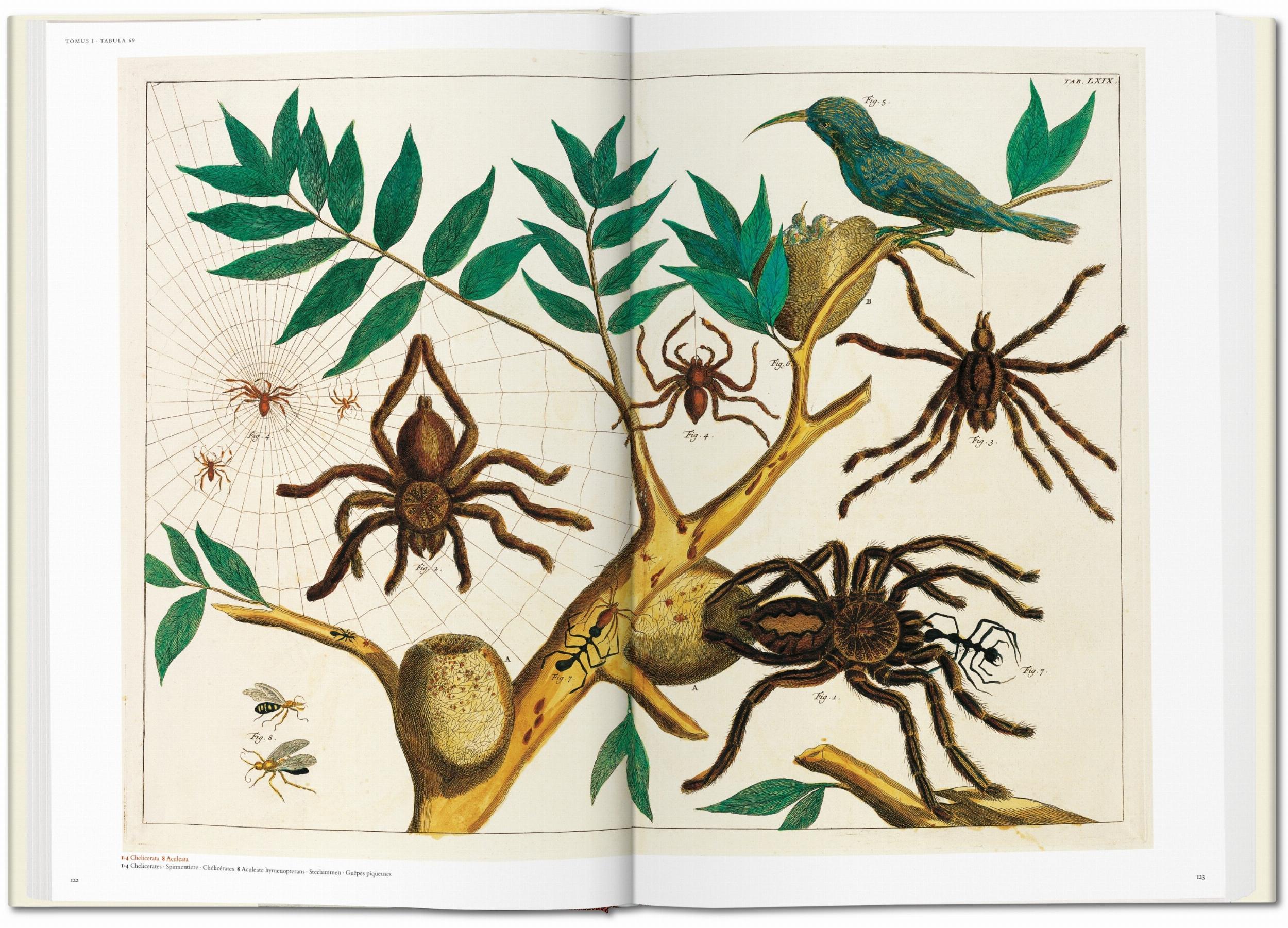Seba. Cabinet of Natural Curiosities - Image 5 of 8