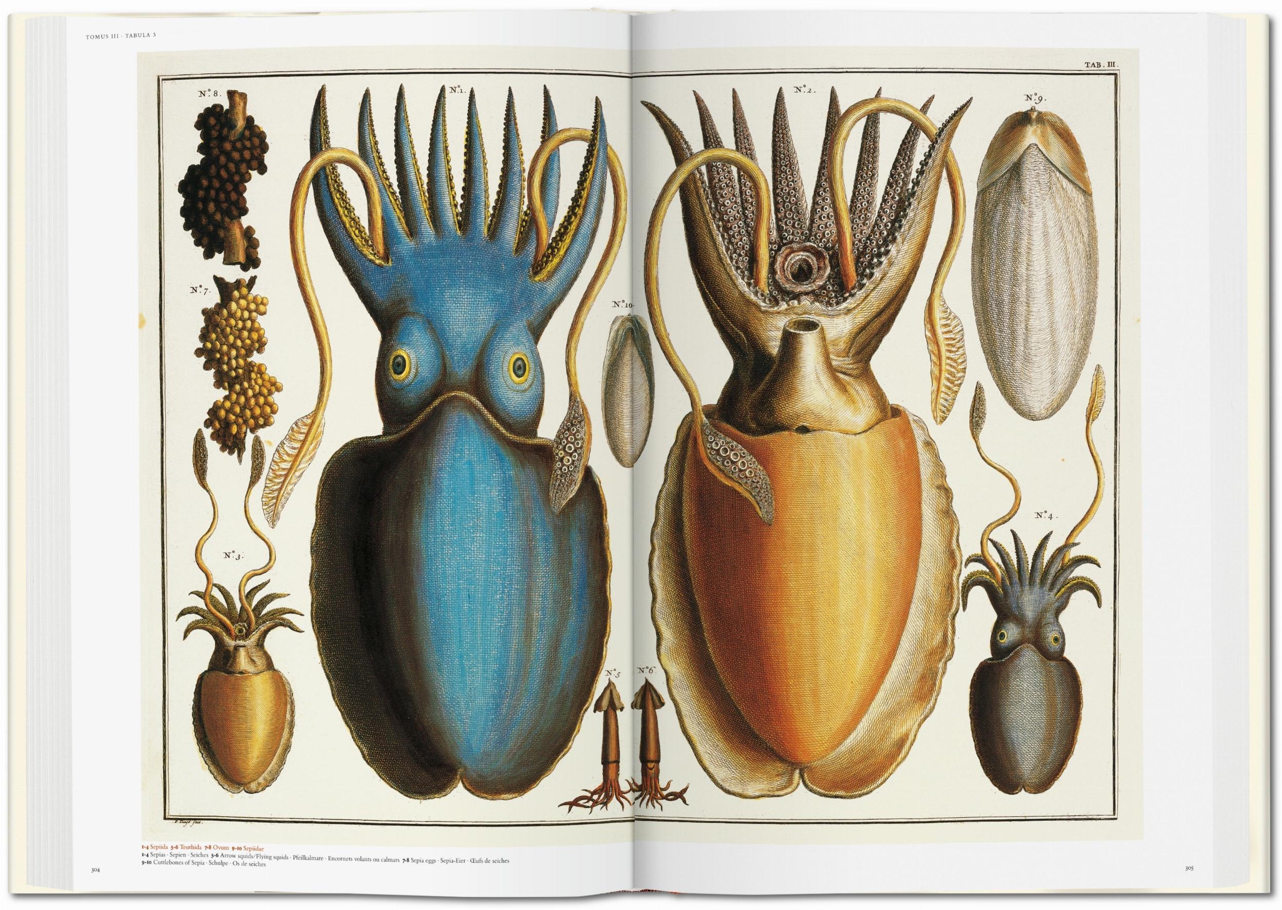 Seba. Cabinet of Natural Curiosities - Image 7 of 8