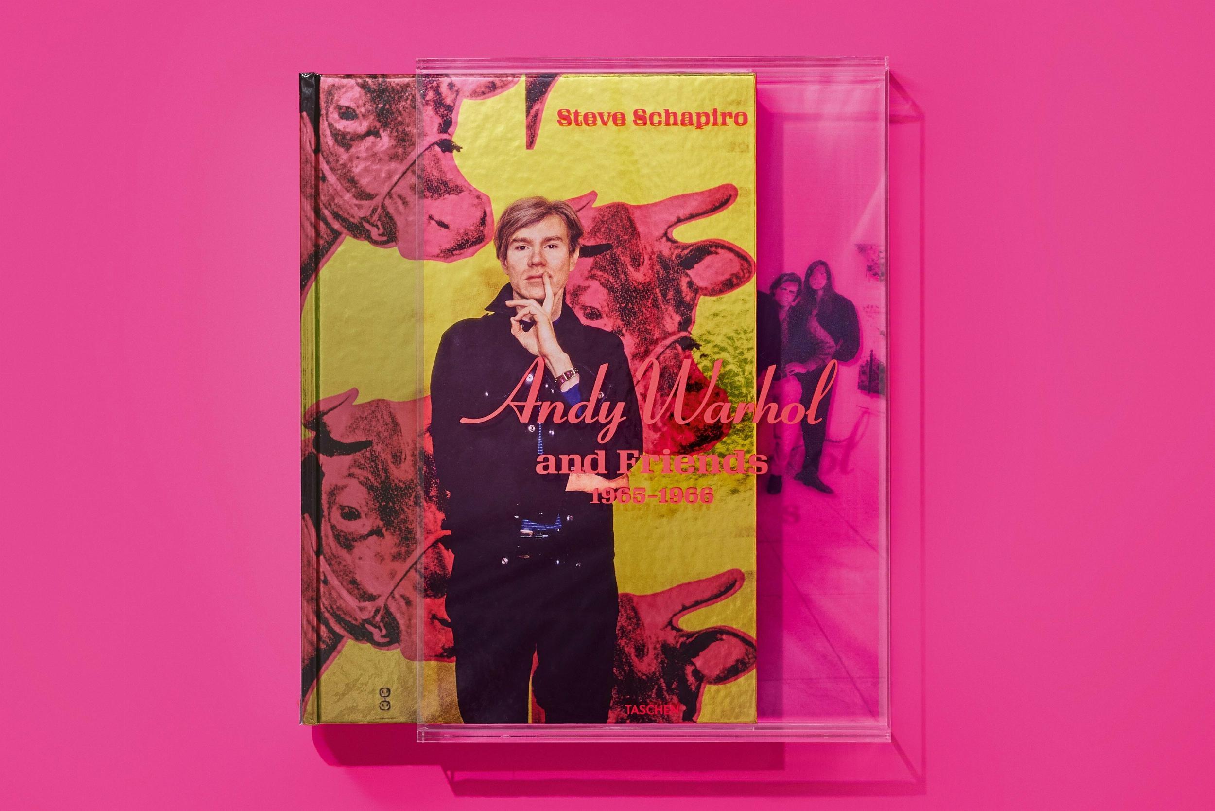 Steve Schapiro. Andy Warhol and Friends. Art Edition No. 1–50 ‘Andy Warhol at the Castle, Los Angeles, 1966’ - Image 5 de 19