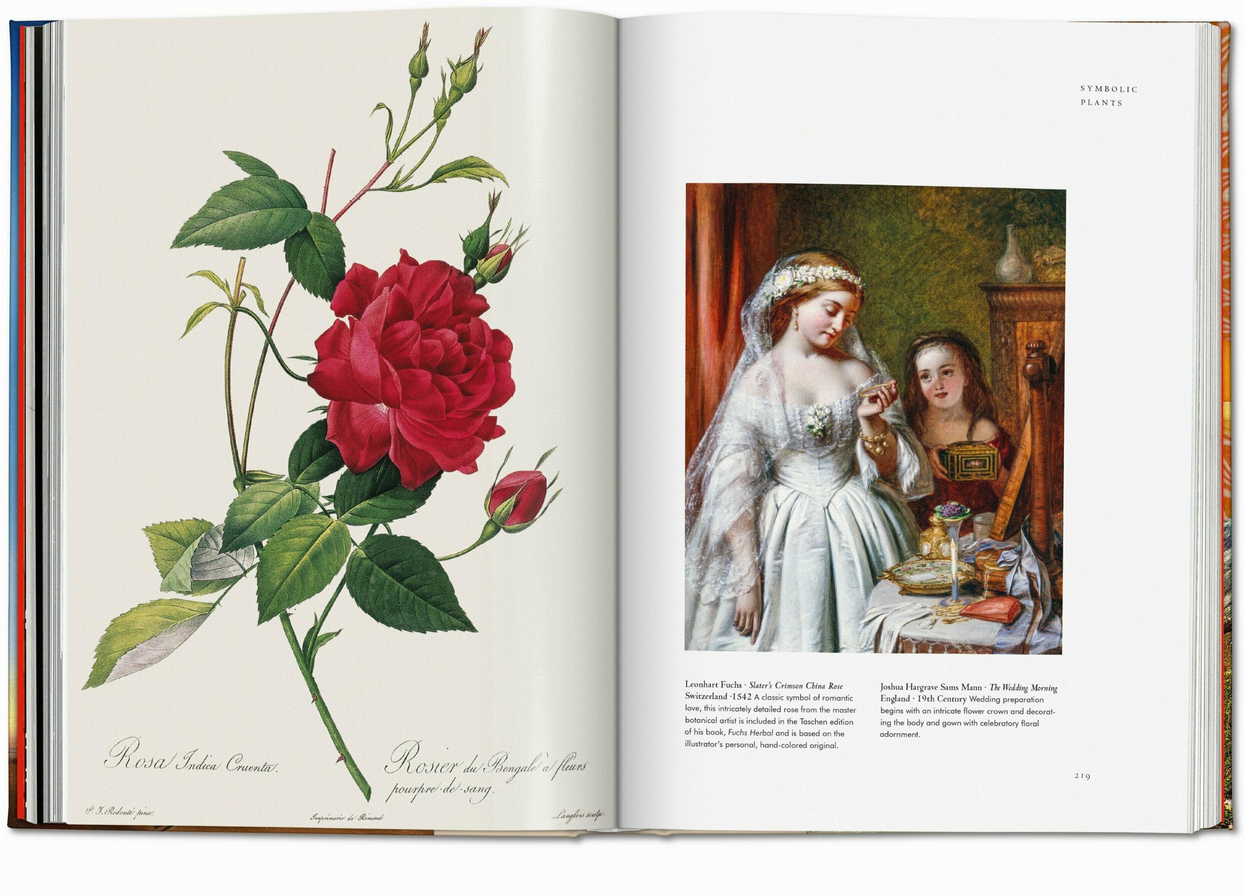 Pflanzenmagie. Bibliothek der Esoterik - Bild 8 von 16