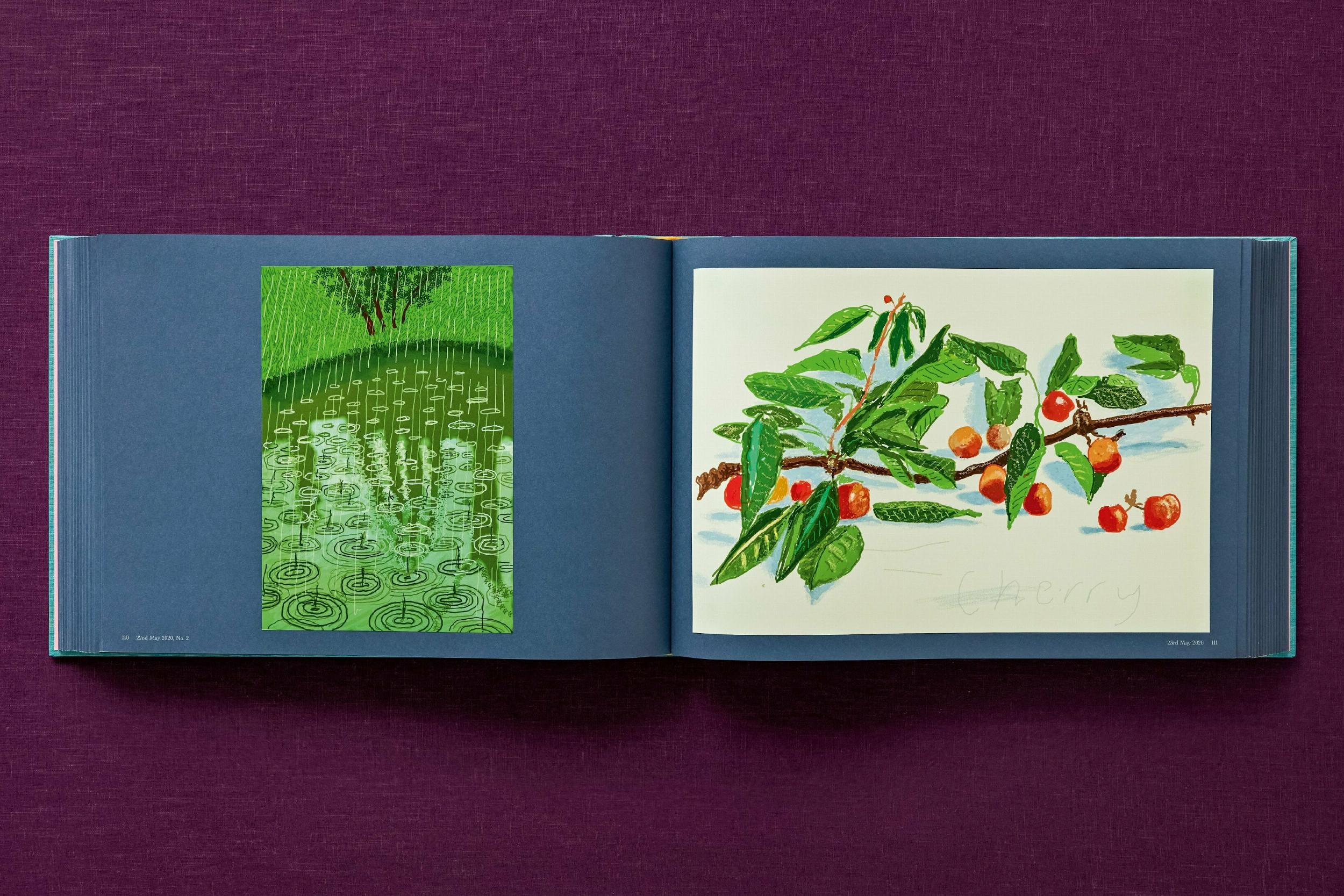 David Hockney. 220 for 2020. Art Edition No. 101–200 ‘Self-Portrait in My Living Room’ - Bild 19 von 45