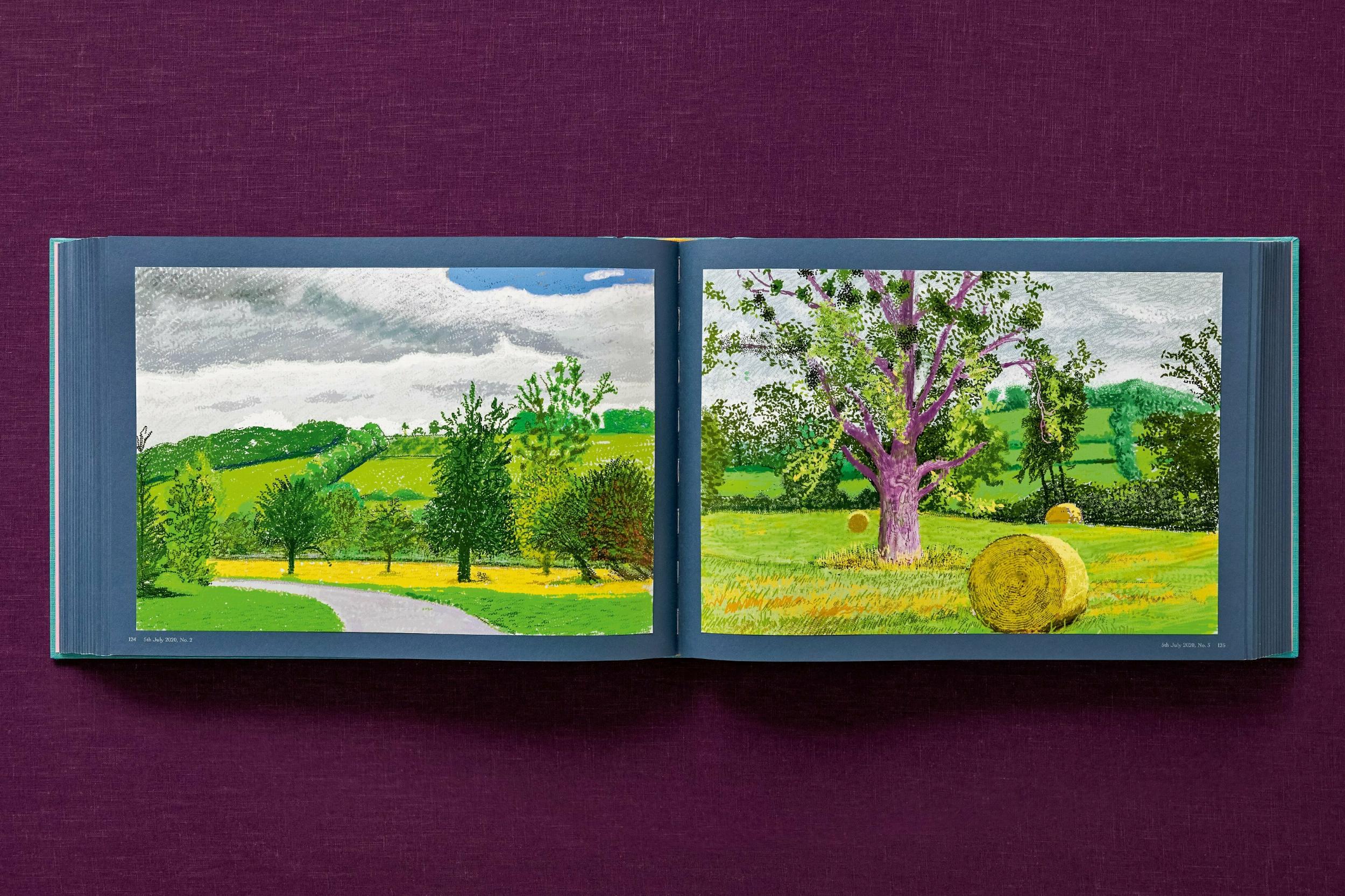 David Hockney. 220 for 2020. Art Edition No. 101–200 ‘Self-Portrait in My Living Room’ - Bild 20 von 45